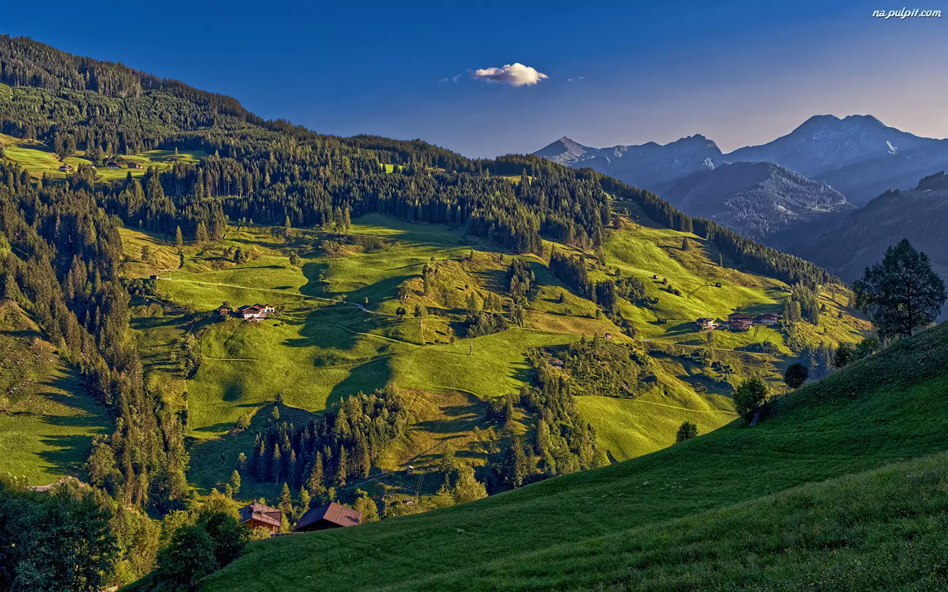 Austria, Alpy, Gmina Grossarl, Domy, Dolina, Lasy, Drzewa, Góry, Wzgórze