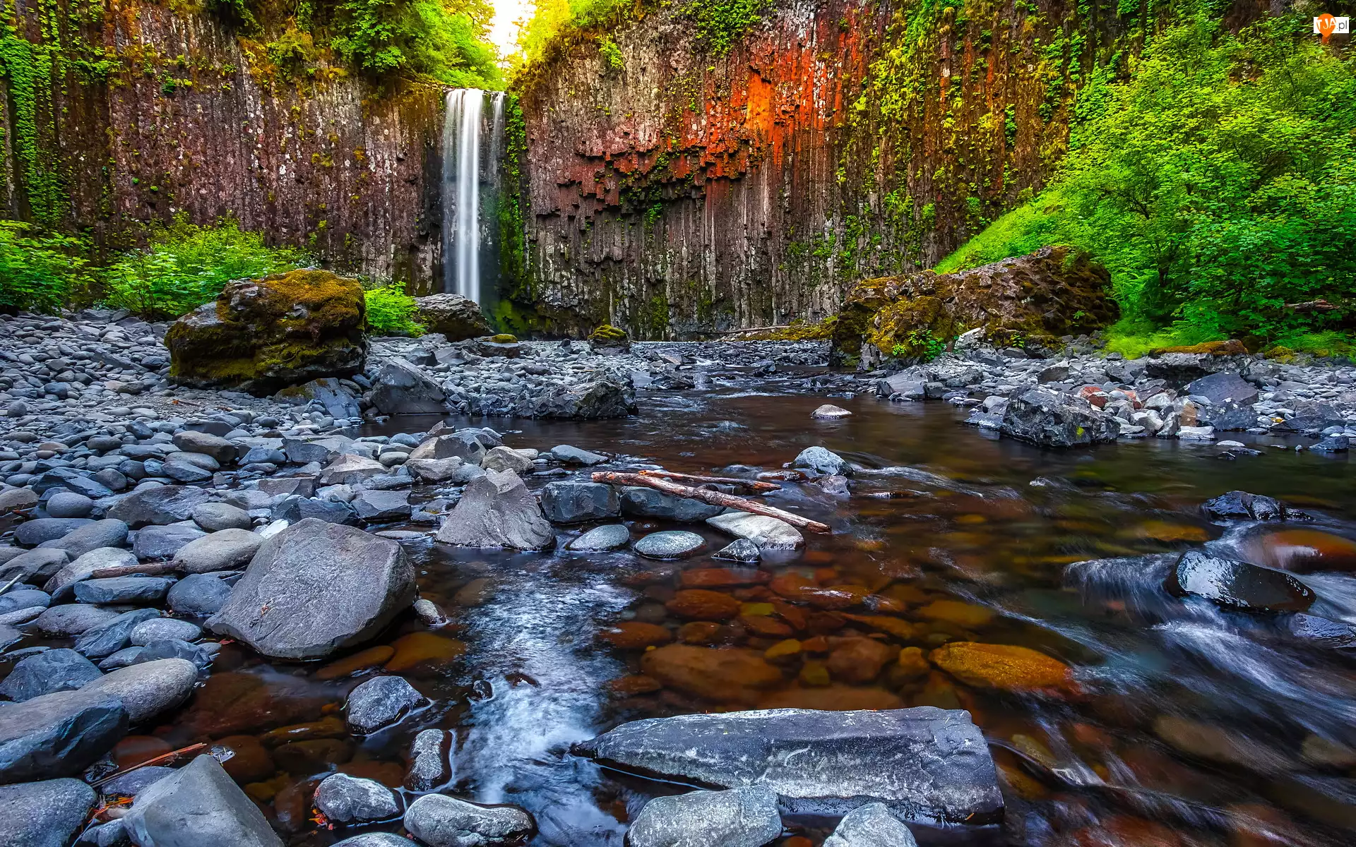Skały, Rzeka, Stany Zjednoczone, Wodospad Abiqua Falls, Stan Oregon, Kamienie, Drzewa