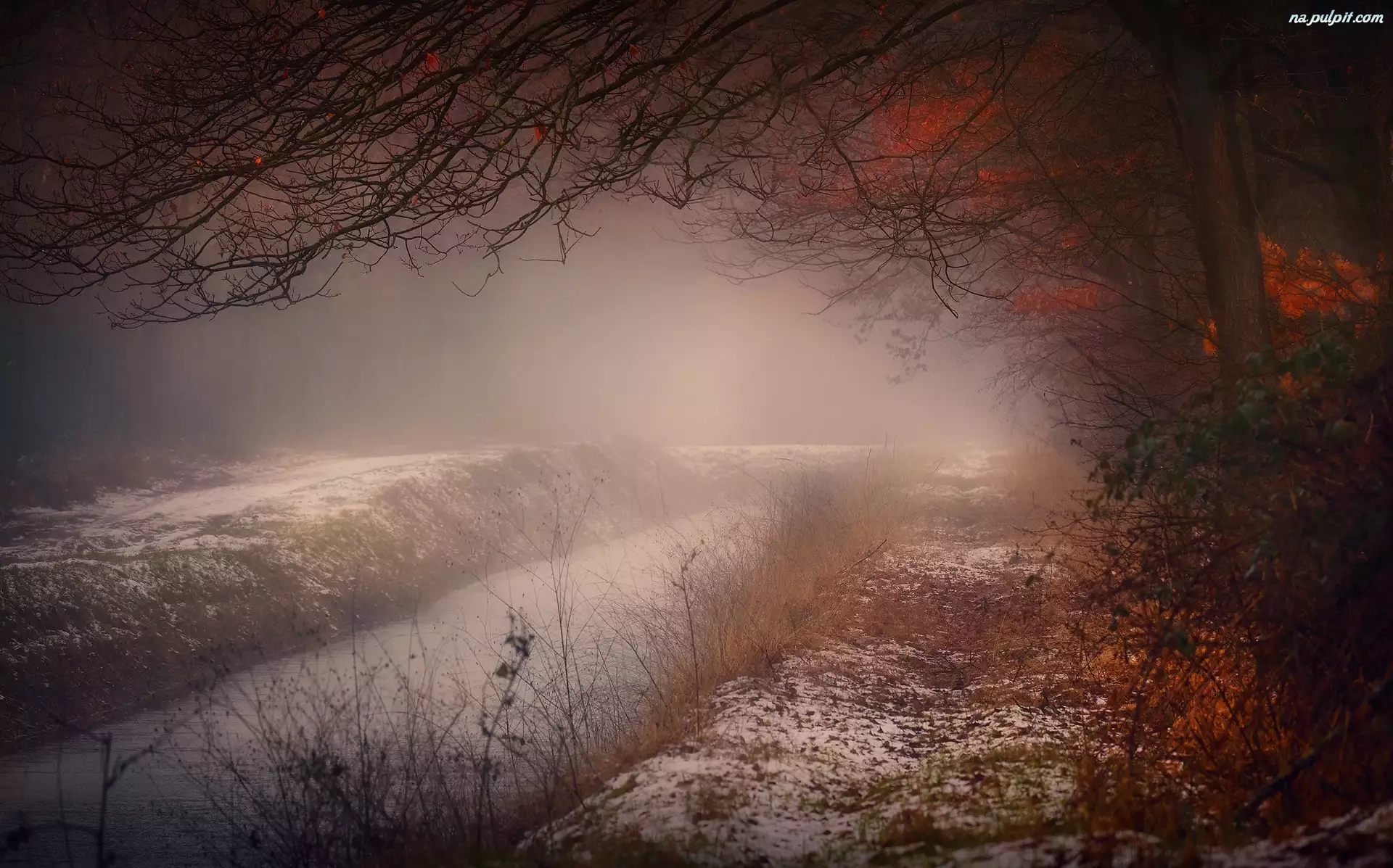 Rzeka, Mgła, Jesień, Drzewa, Śnieg