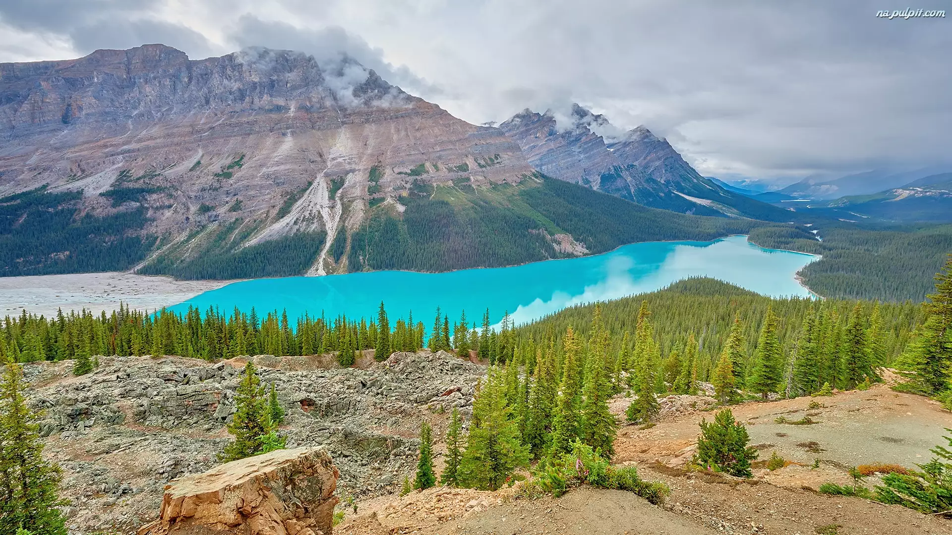 Góry Canadian Rockies, Jezioro Peyto, Kanada, Park Narodowy Banff, Alberta, Drzewa, Lasy