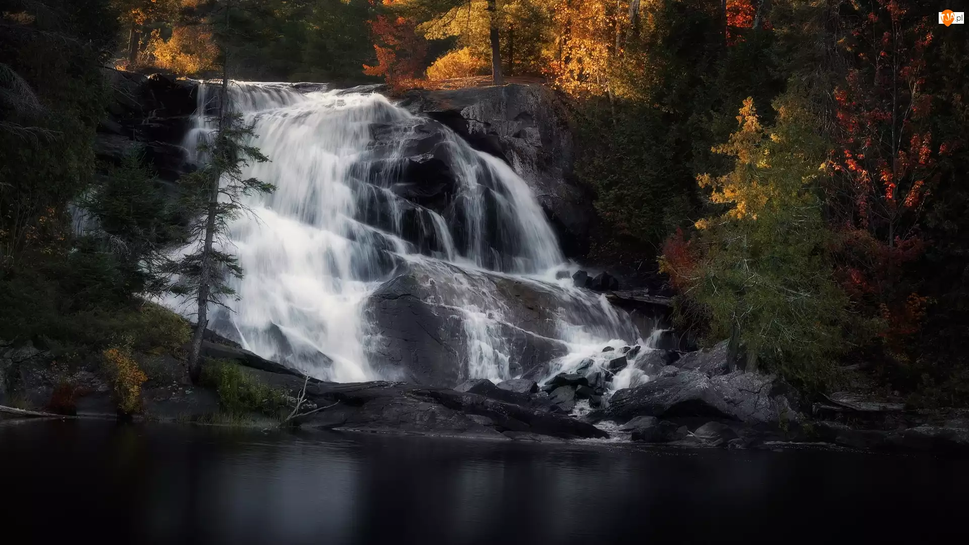 Drzewa, Wodospad High Falls, Szlak Barron Canyon, Kanada, Jesień, Prowincja Ontario