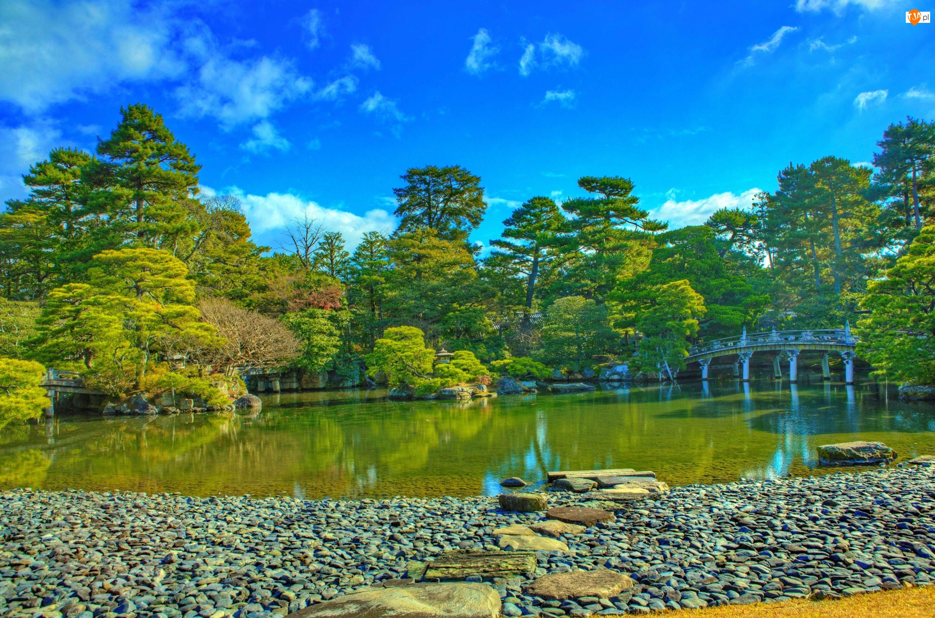 Kioto, Japonia, Most, Drzewa, Park, Staw