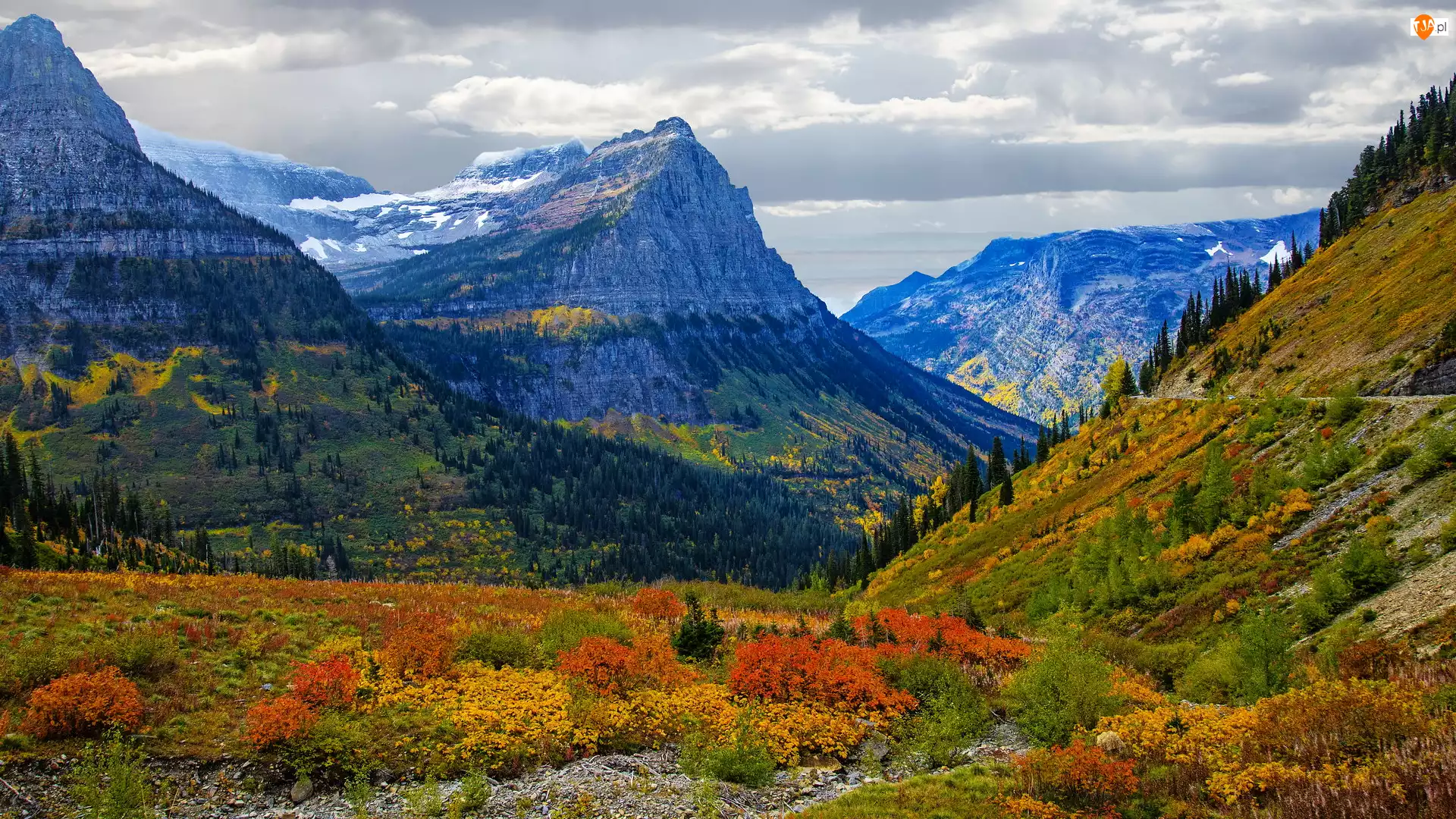 Góry Skaliste, Jesień, Stany Zjednoczone, Park Narodowy Glacier, Montana, Rośliny, Kolorowe