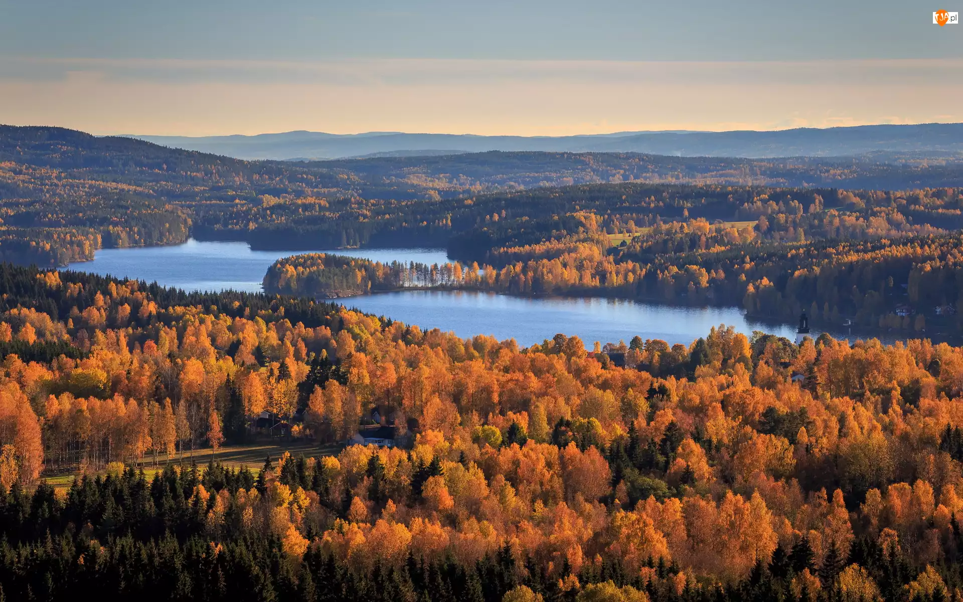 Gunnarskog, Jesień, Jezioro, Gmina Arvika, Lasy, Lake Gunnern, Szwecja, Drzewa