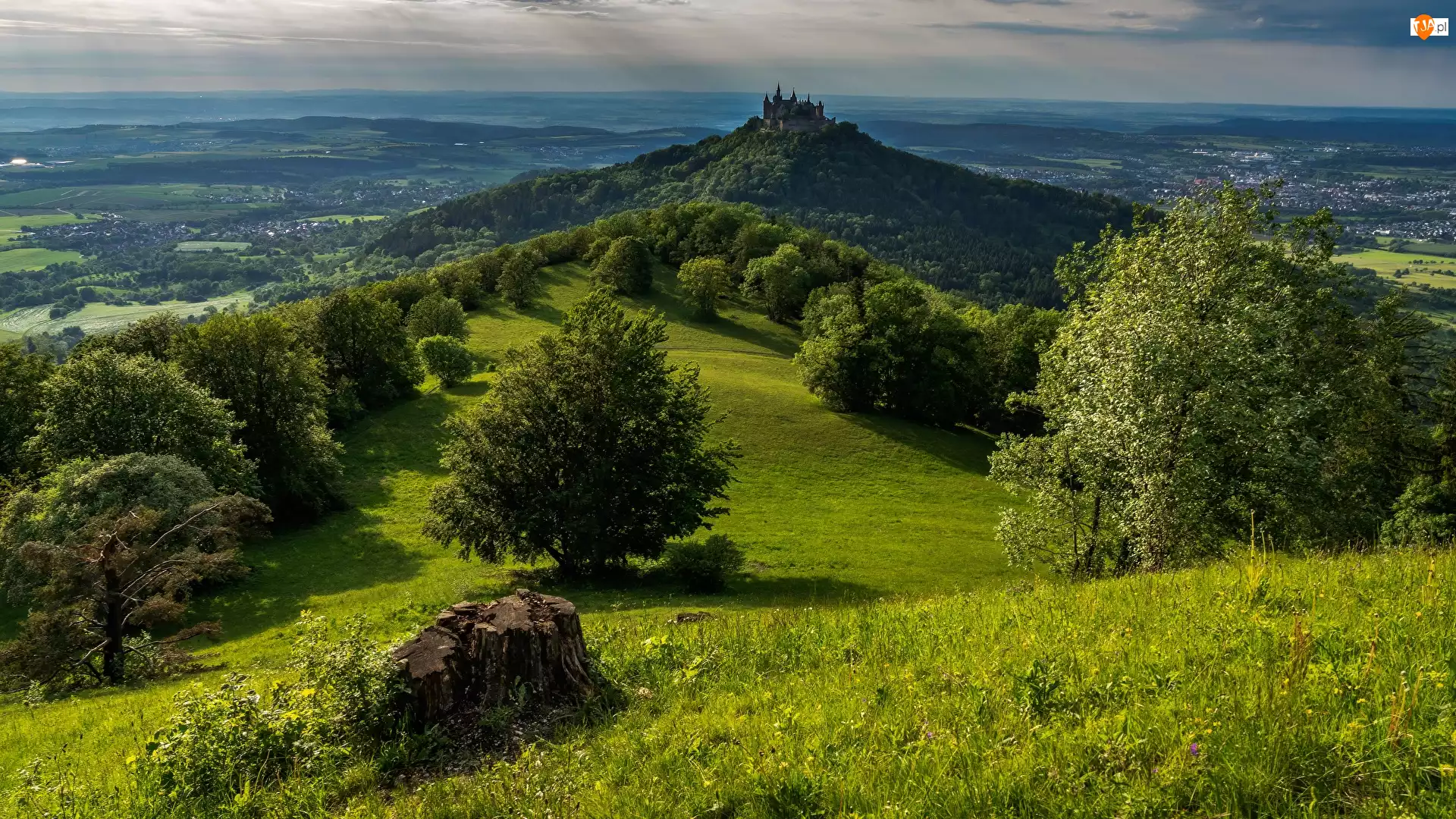 Zamek Hohenzollern, Drzewa, Niemcy, Góra Hohenzollern, Badenia-Wirtembergia, Wzgórze, Chmury