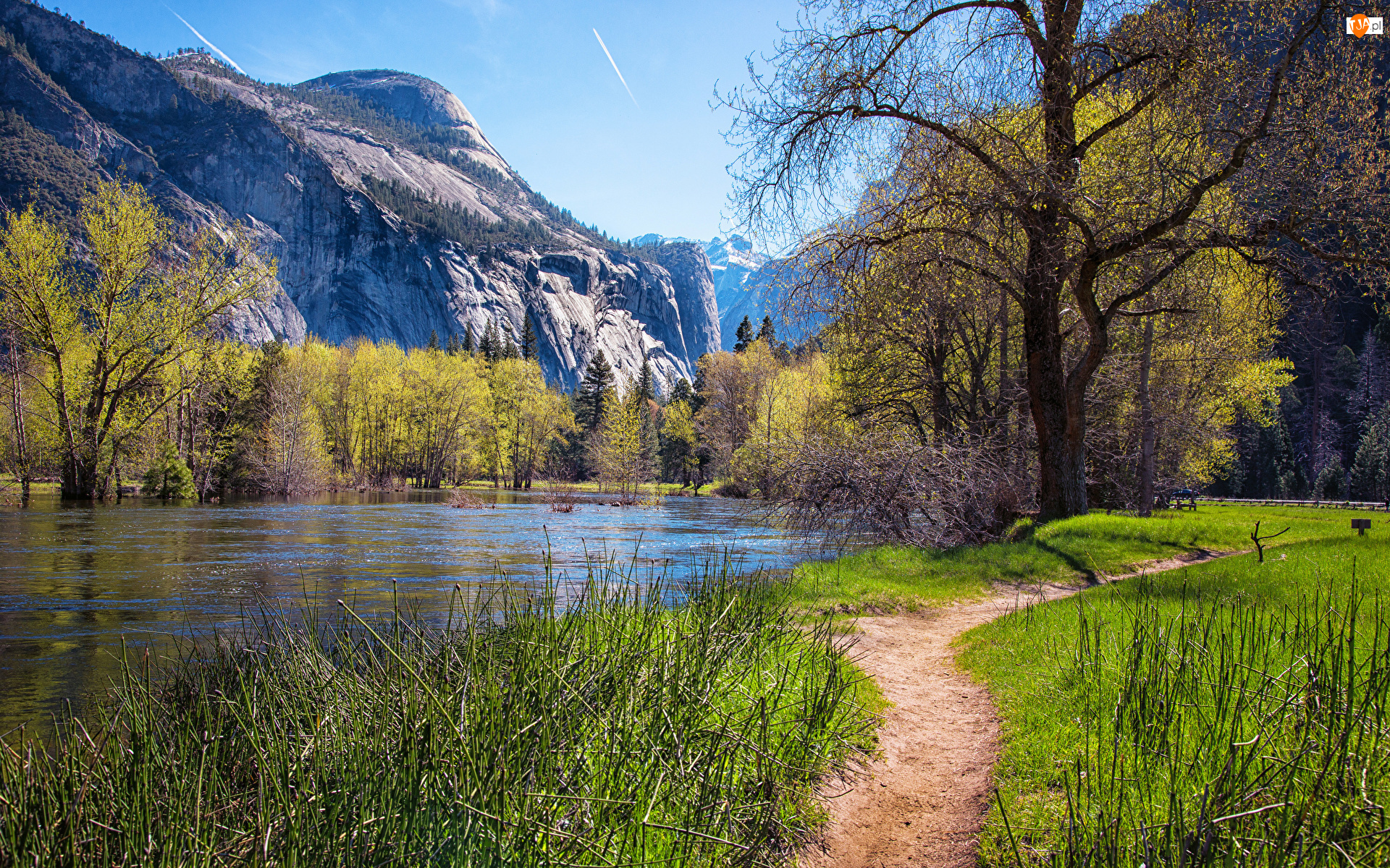 Stany Zjednoczone, Góry, Kalifornia, Wiosna, Rzeka Merced River, Drzewa, Ścieżka, Park Narodowy Yosemite, Trawa