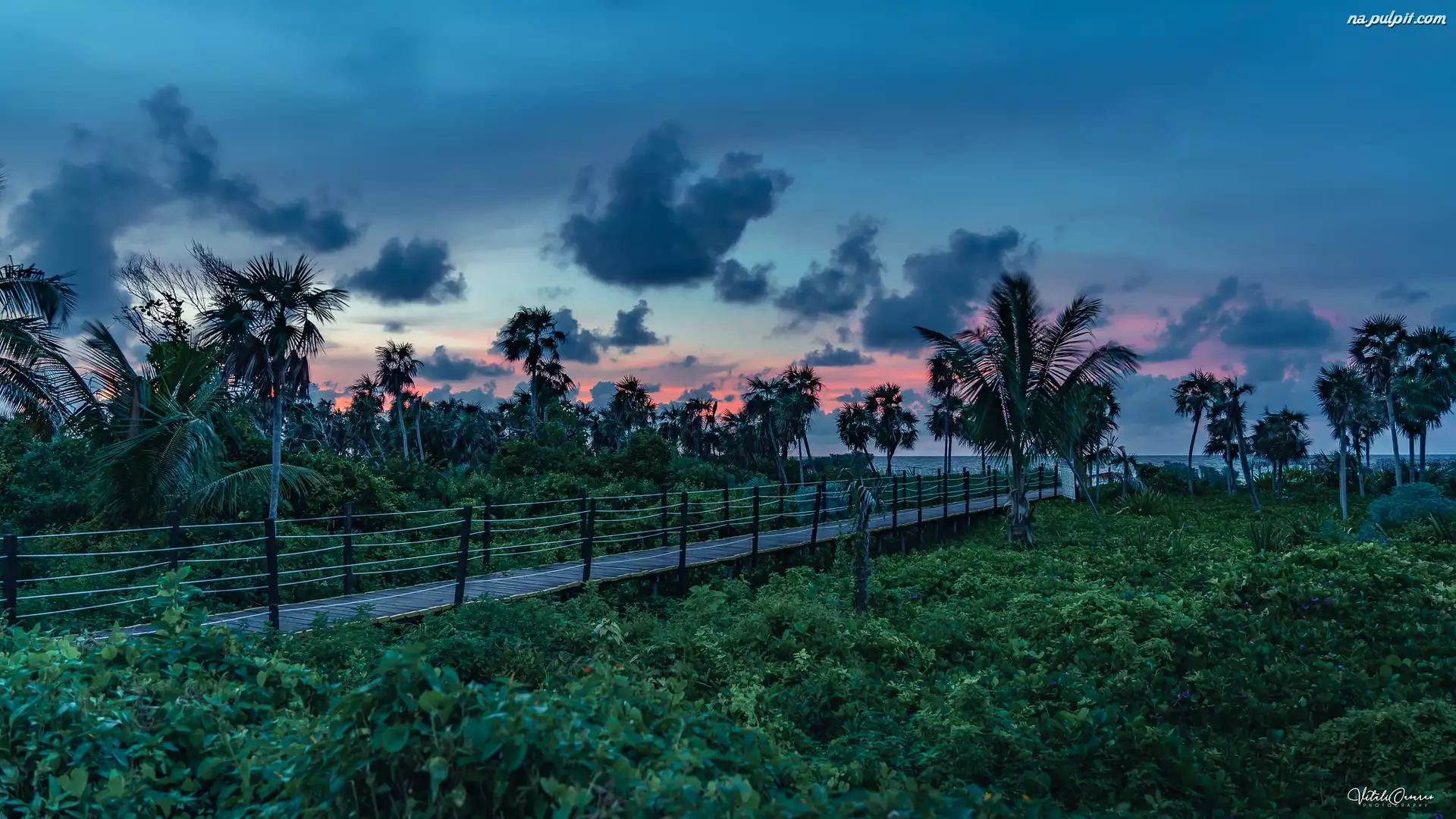 Chmury, Zachód słońca, Palmy, Kuba, Pomost, Wyspa Cayo Coco