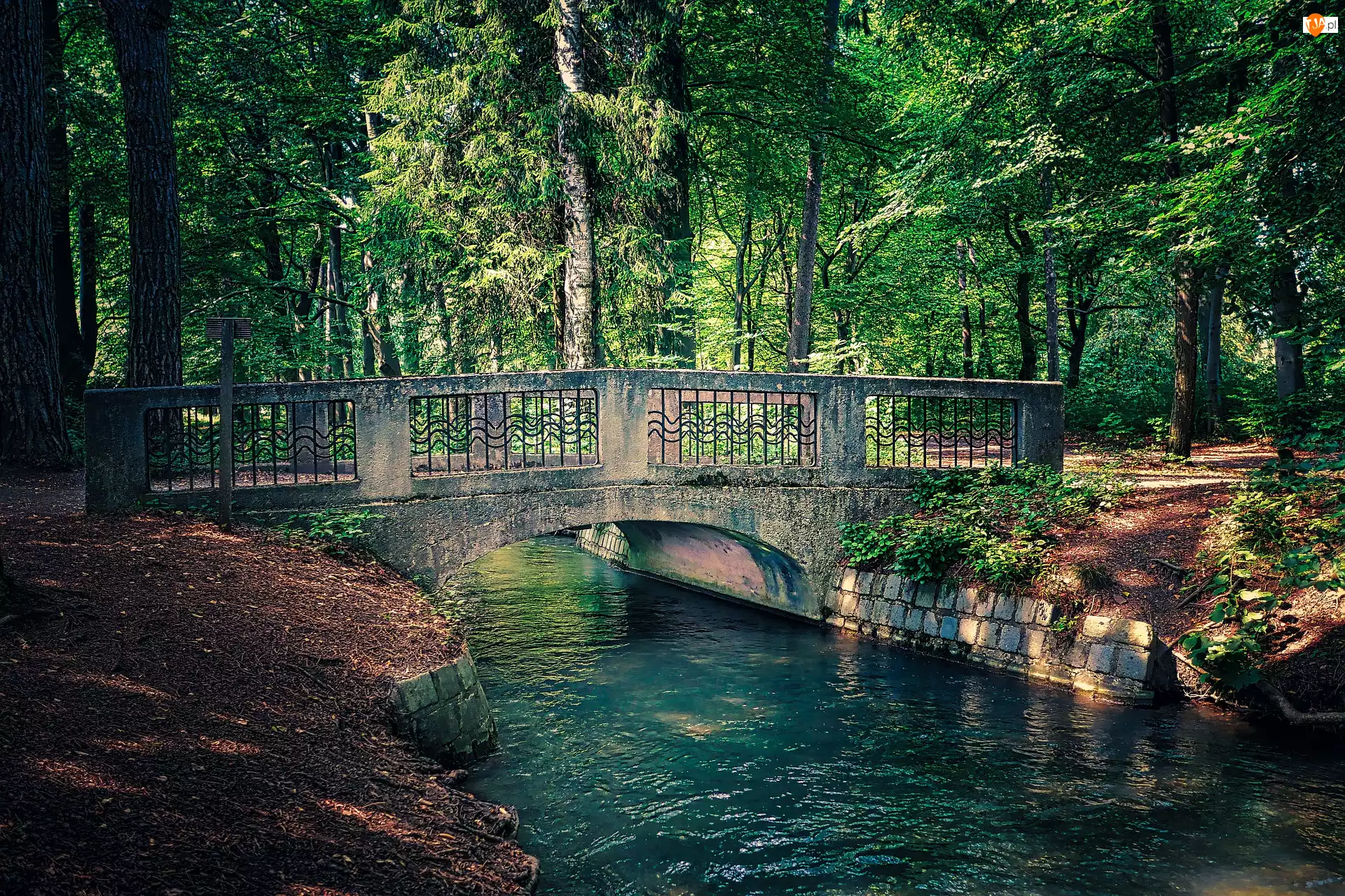 Most, Park, Kamienny, Rzeka, Drzewa