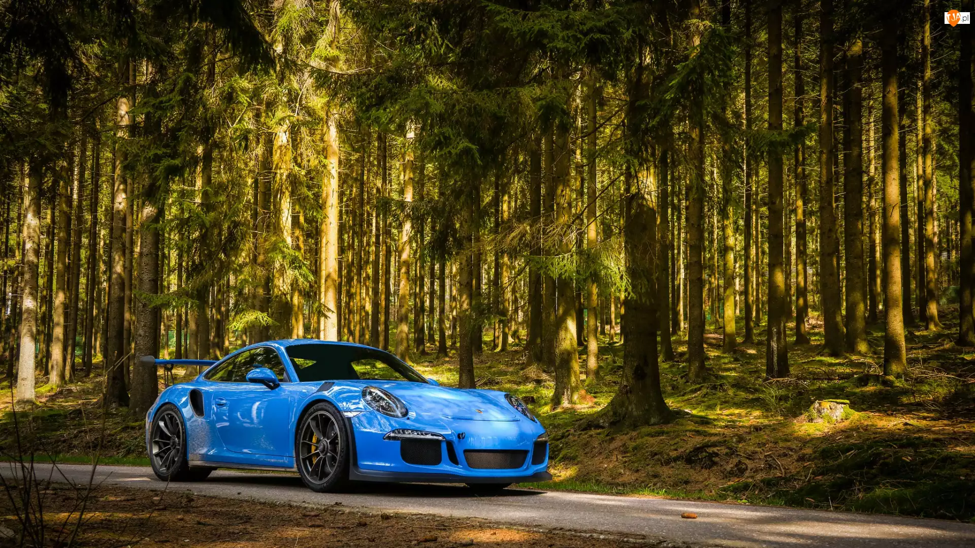 Las, Niebieskie, Porsche 911 GT3
