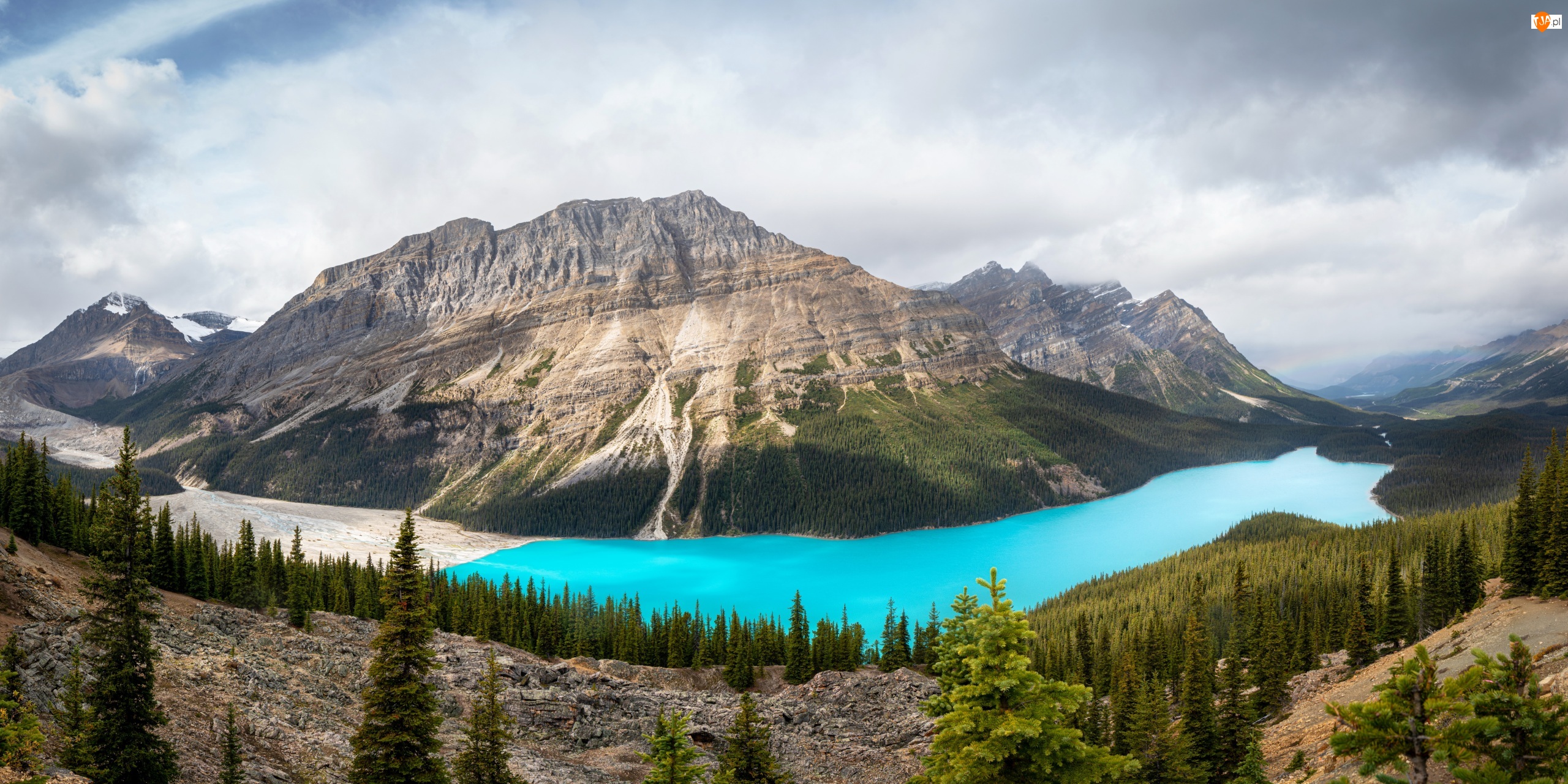 Kanada, Canadian Rockies, Alberta, Drzewa, Park Narodowy Banff, Chmury, Jezioro Peyto Lake, Góry, Las