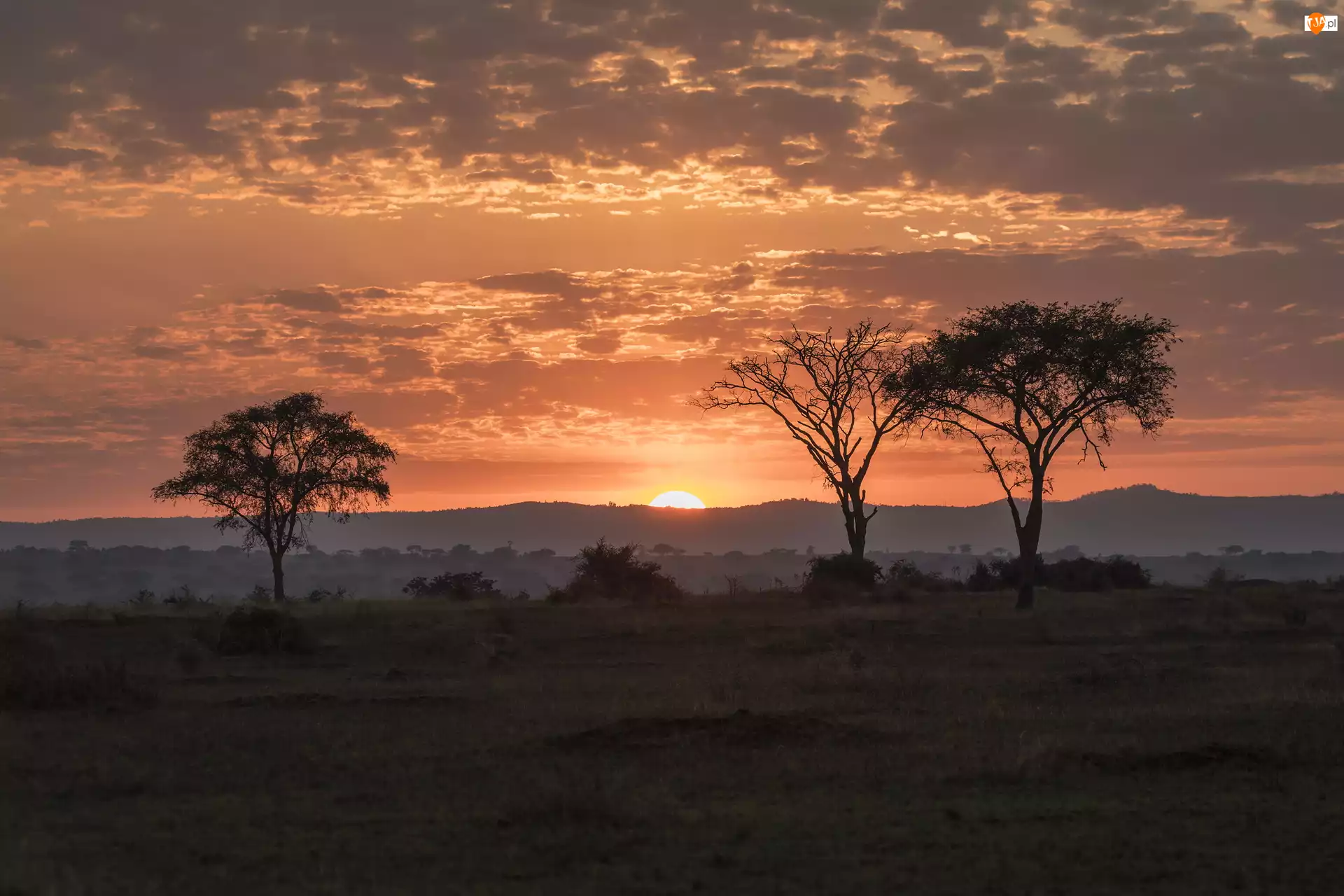 Chmury, Zachód słońca, Kisoro, Afryka, Drzewa, Uganda