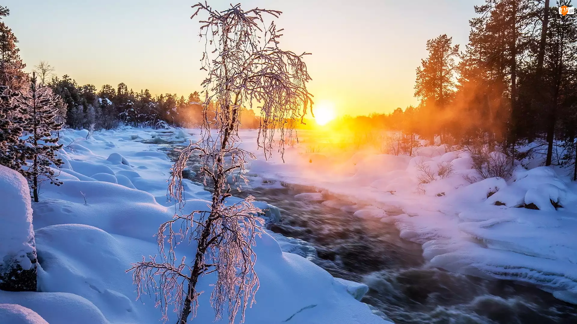 Finlandia, Śnieg, Laponia, Drzewo, Mgła, Rzeka Juutuanjoki, Wschód słońca, Zima, Oszronione
