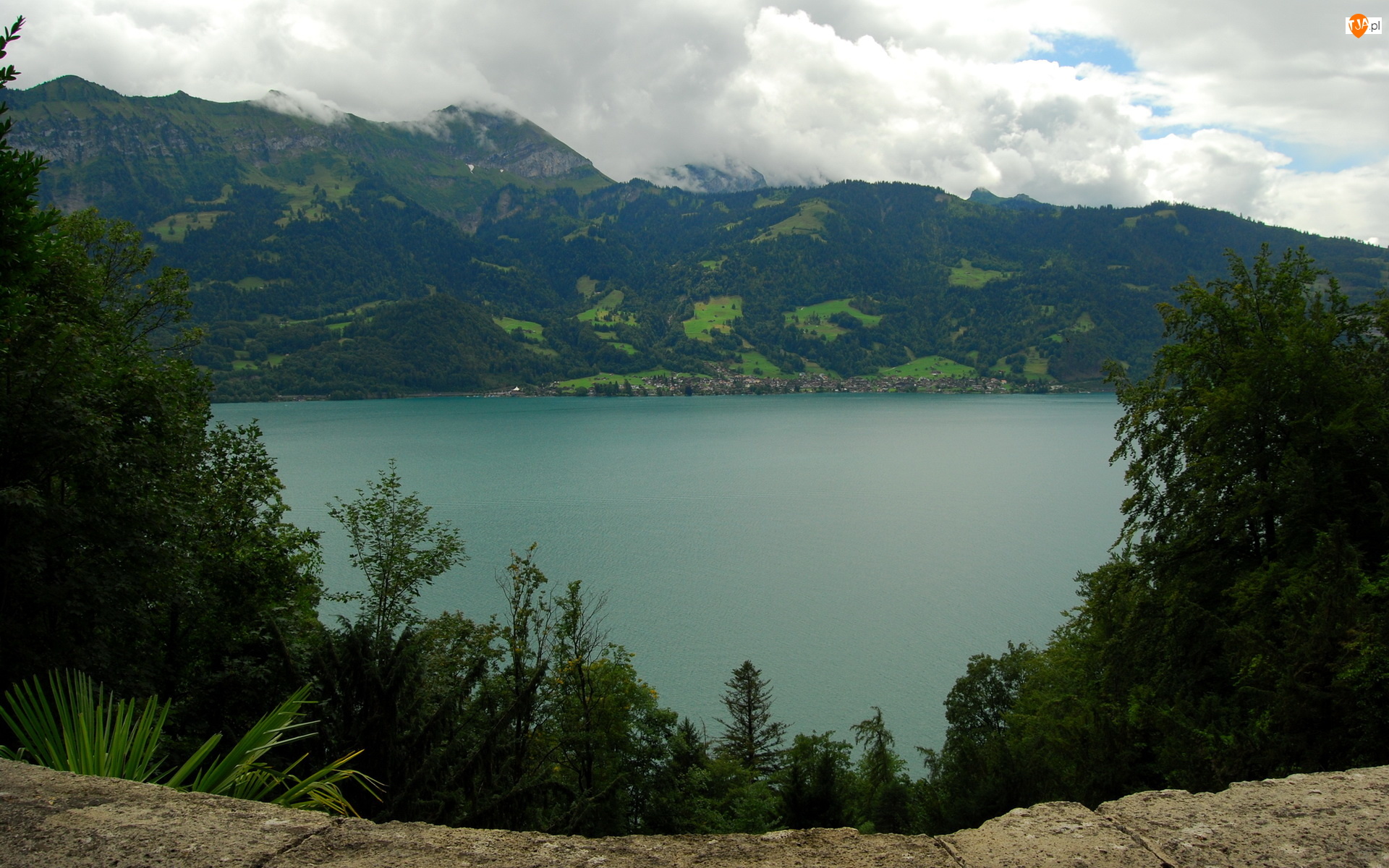 Alpy Berneńskie, Góry, Drzewa, Szwajcaria, Jezioro Thunersee, Kanton Berno