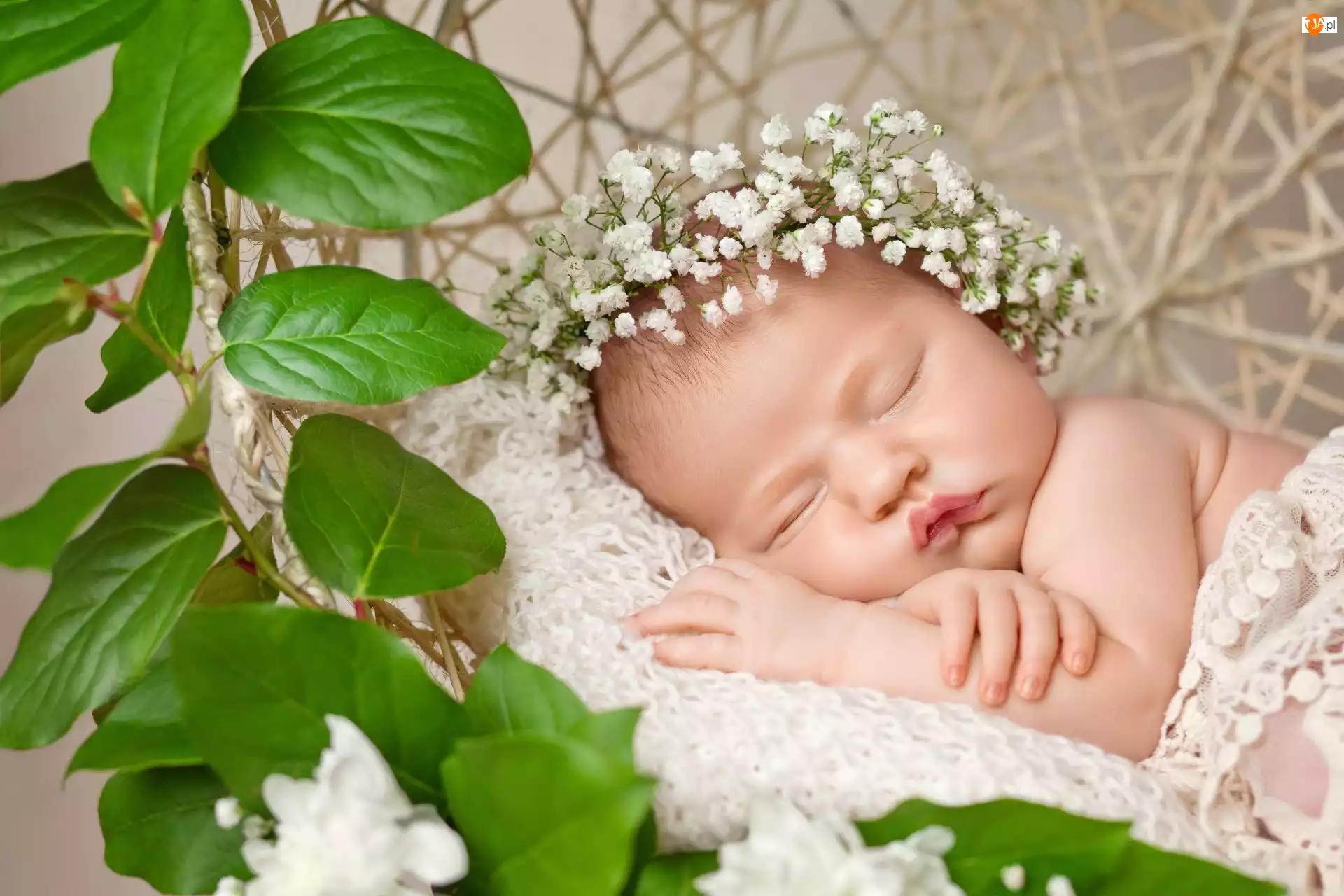 Dziecko, Śpiące, Kwiatuszki, Liście, Wianek, Zielone