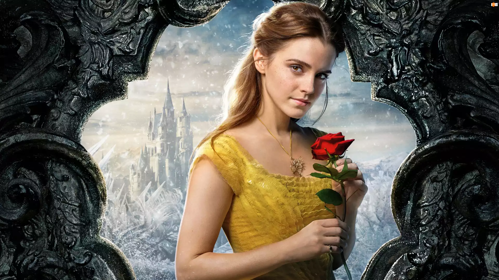 Emma Watson, Aktorka, Piękna i Bestia, Róża, Film, Beauty and the Beast
