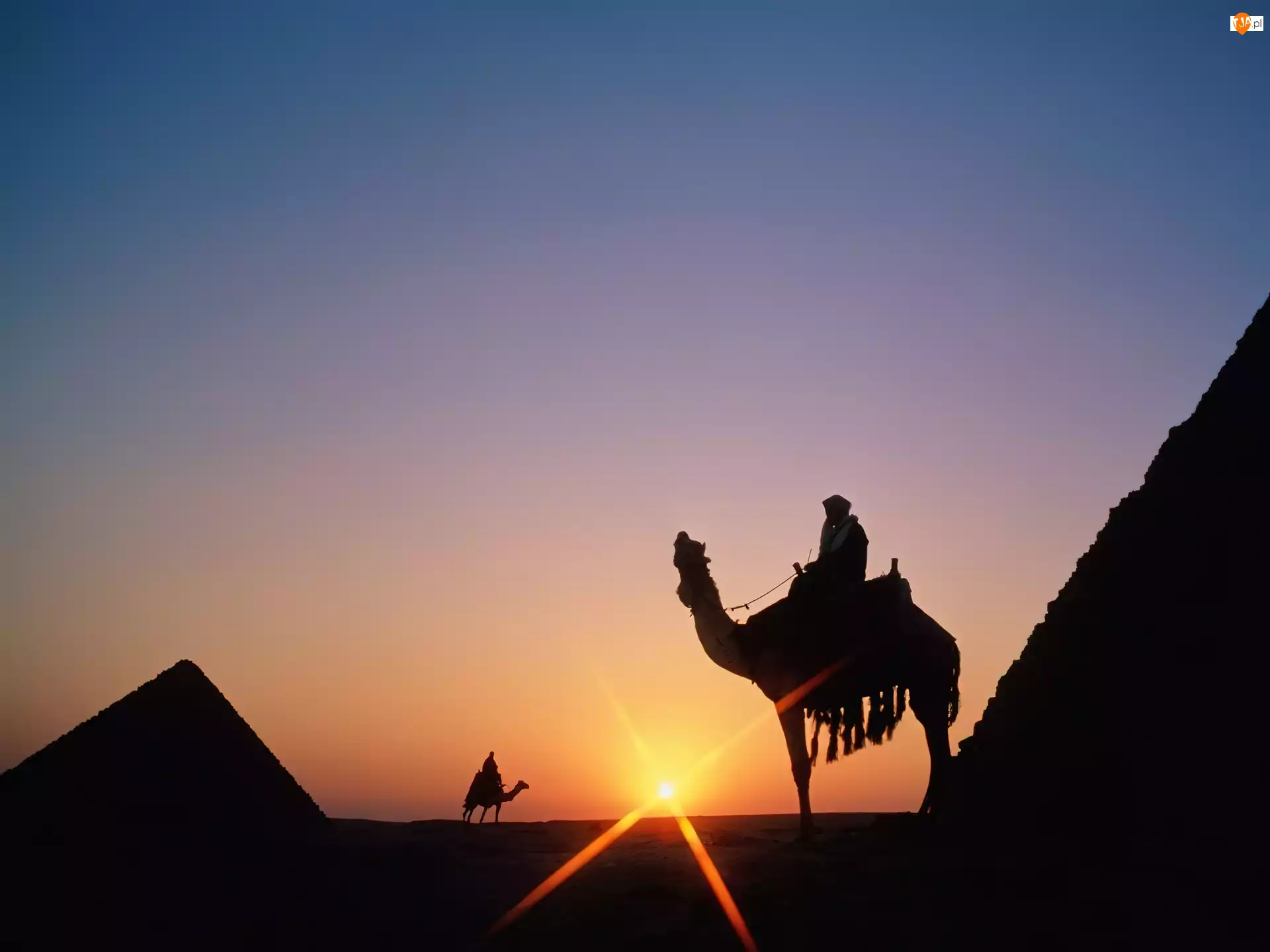 Egipt, Zachód Słońca, Piramidy, wielbłądy