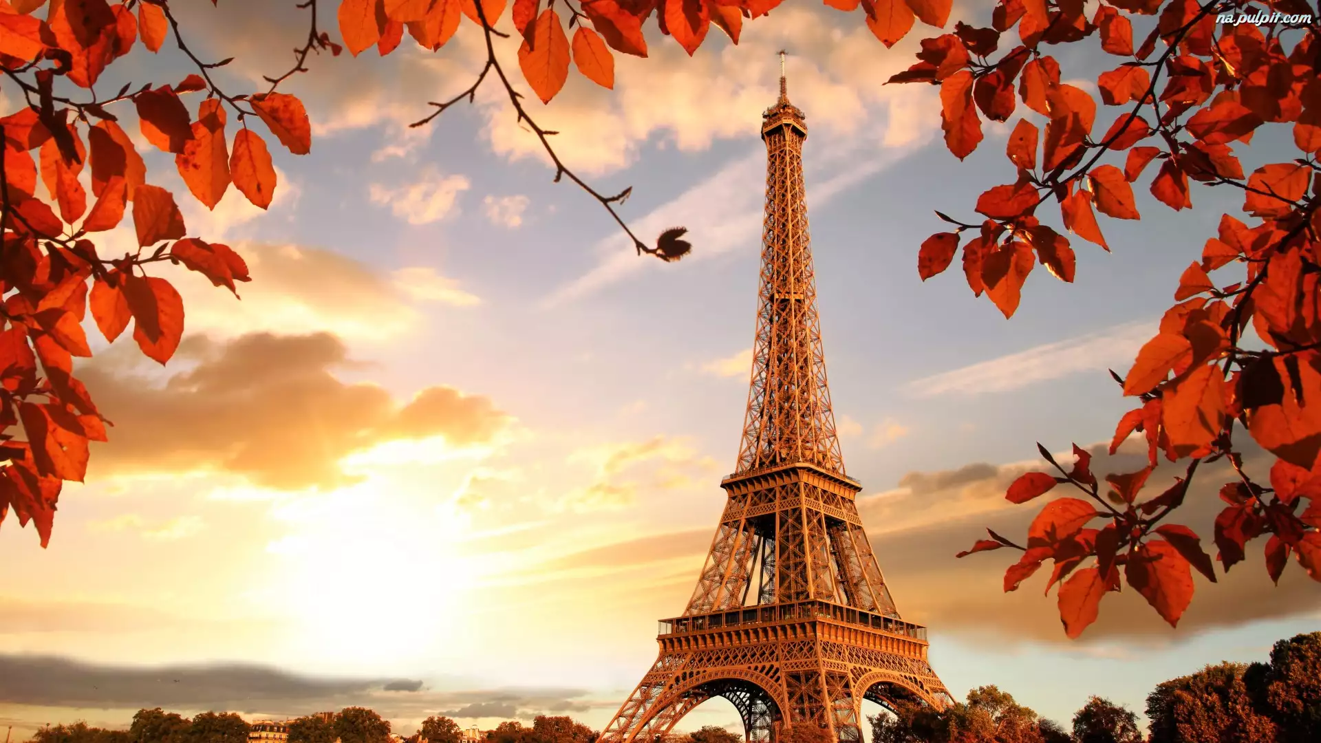 Wieża Eiffla, Jesień, Liście, Francja, Gałązki, Paryż