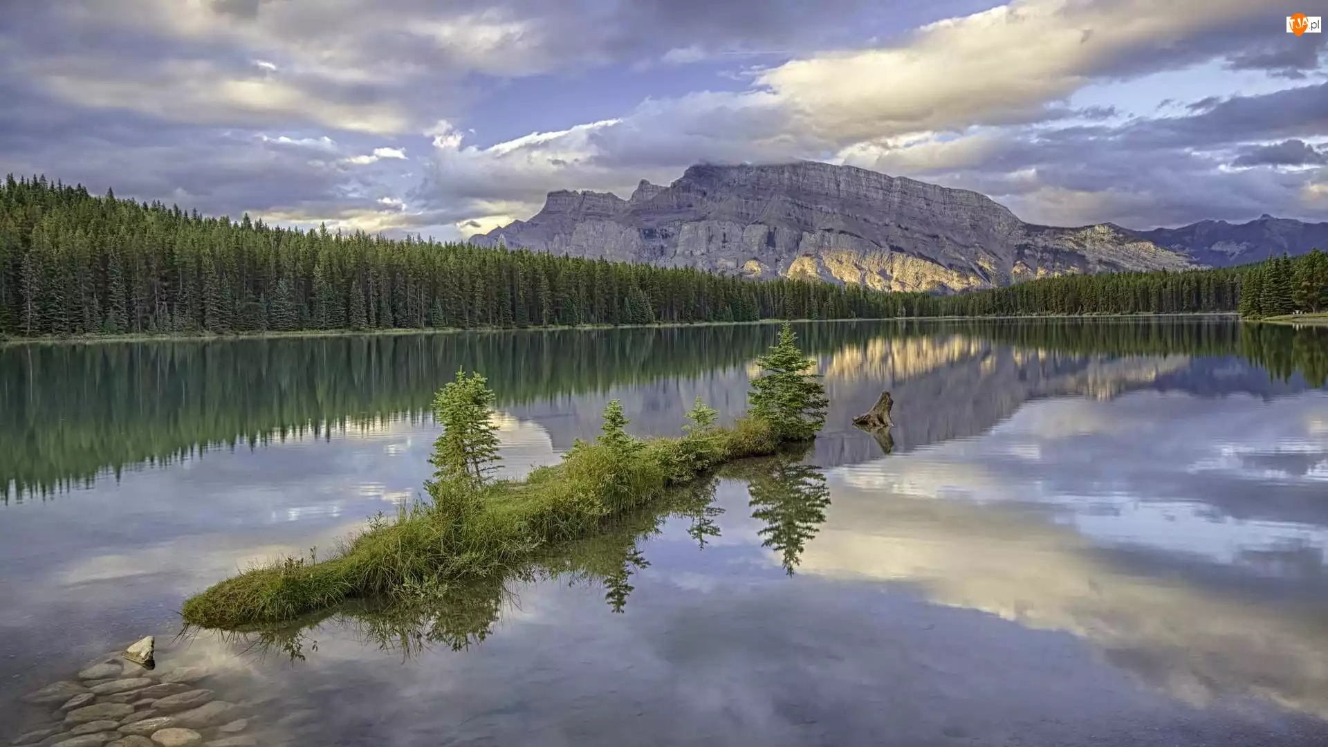 Świerki, Mount Rundle, Drzewa, Kanada, Odbicie, Jezioro Two Jack Lake, Park Narodowy Banff, Góry, Prowincja Alberta