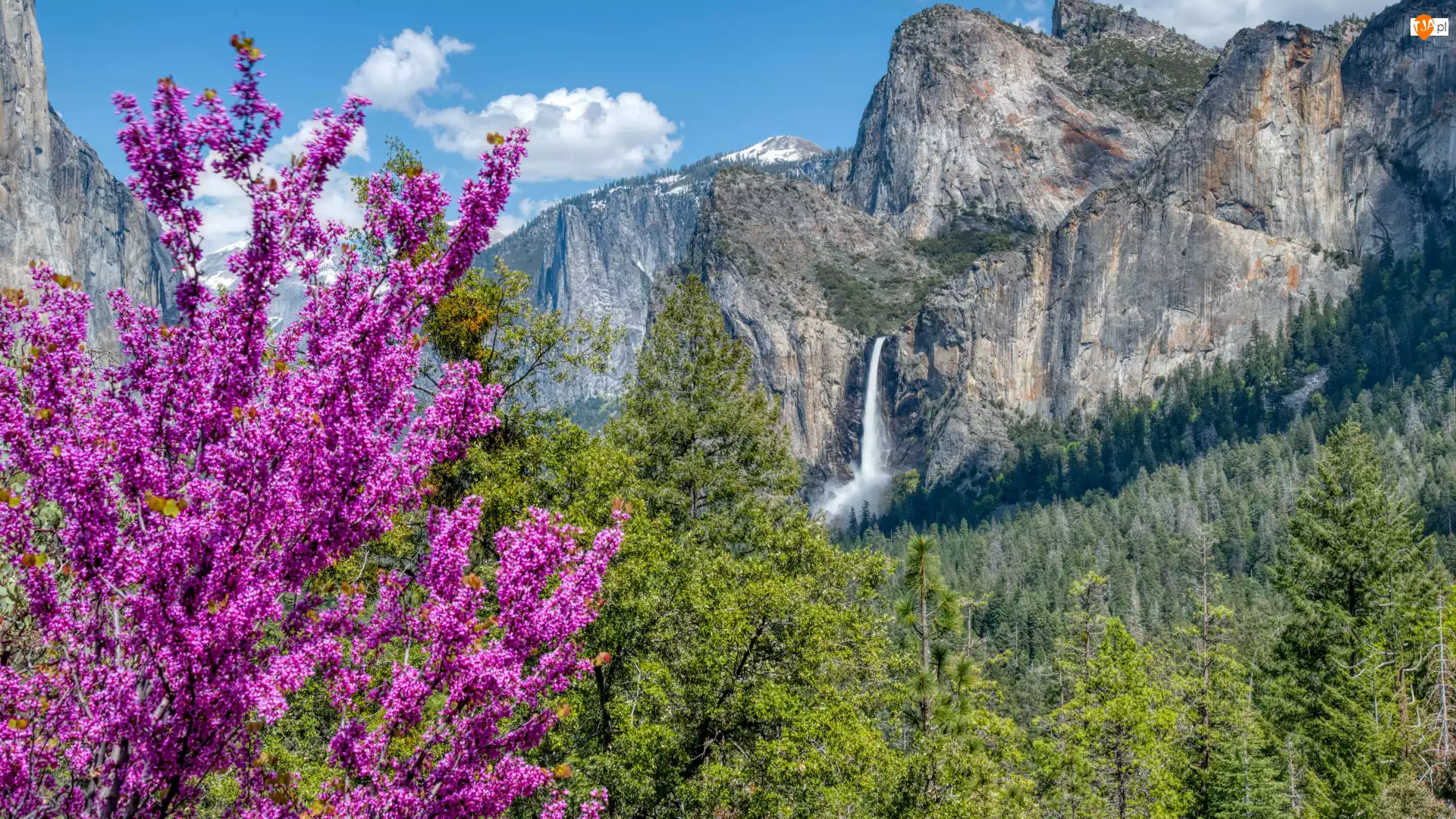 Park Narodowy Yosemite, Drzewa, Wodospad, Kalifornia, Góry, Bridalveil Fall, Stany Zjednoczone, Sierra Nevada