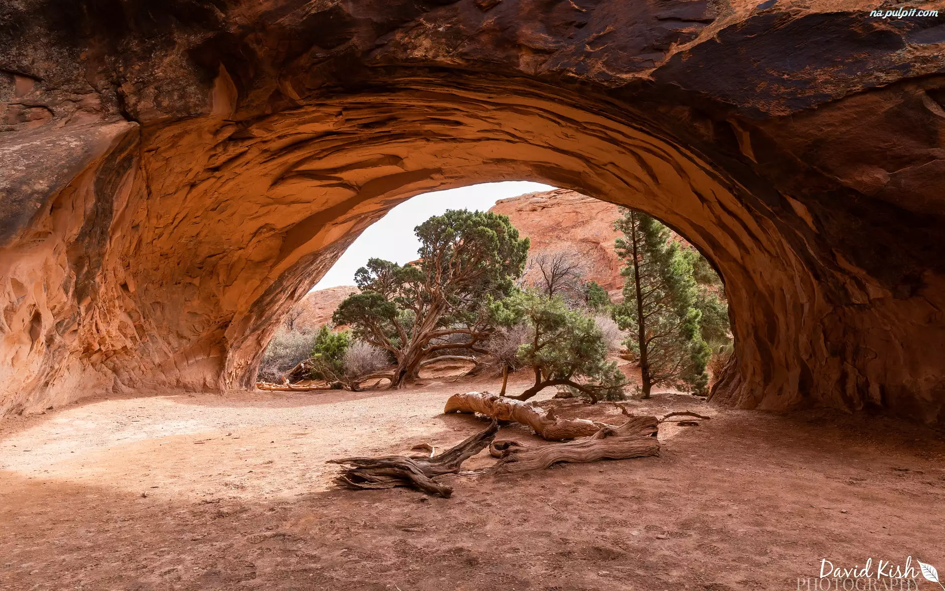 Skały, Navajo Arch, Park Narodowy Arches, Stany Zjednoczone, Drzewa, Stan Utah