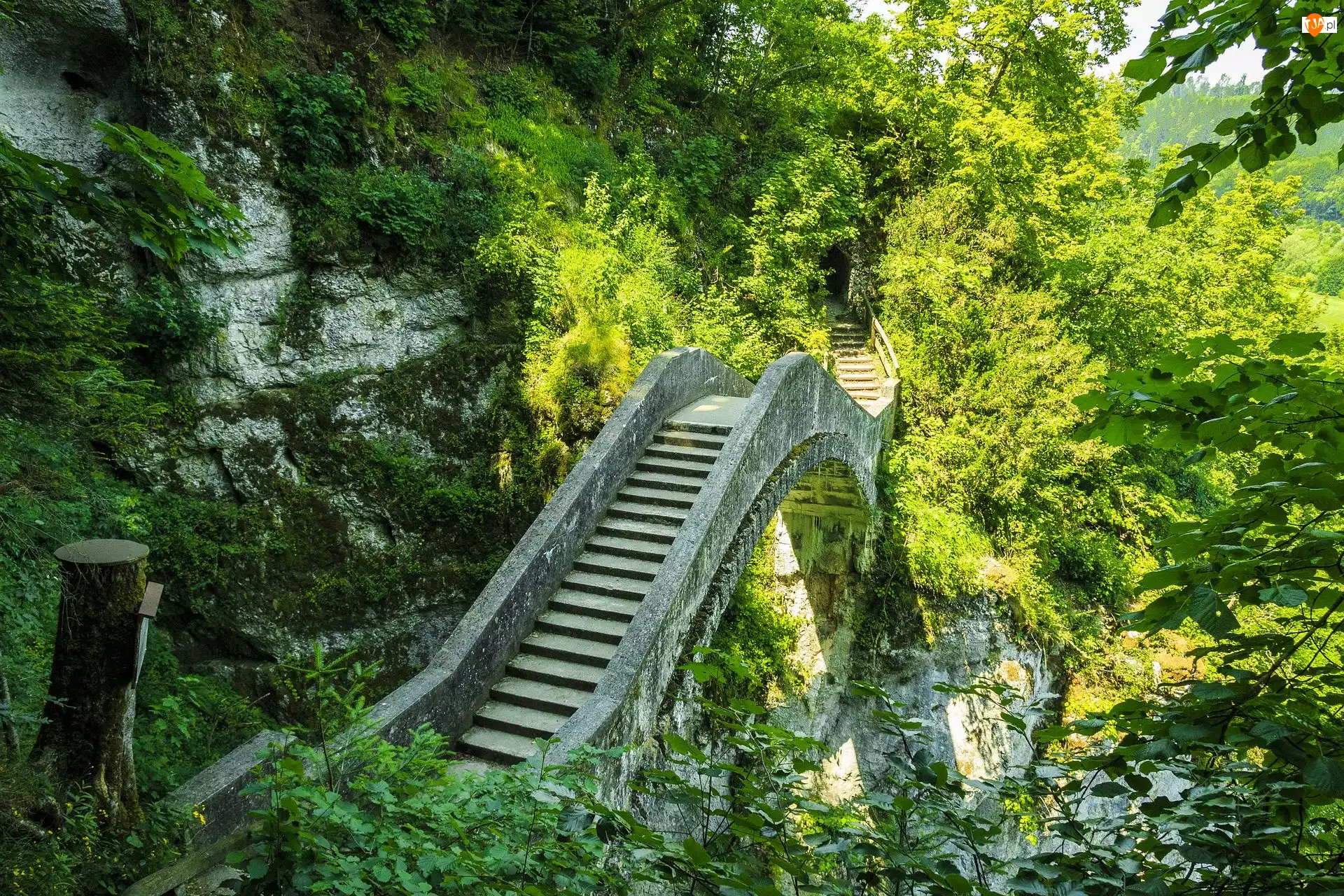 Skały, Drzewa, Niemcy, Park, Badenia-Wirtembergia, Inzigkofen, Diabelski most