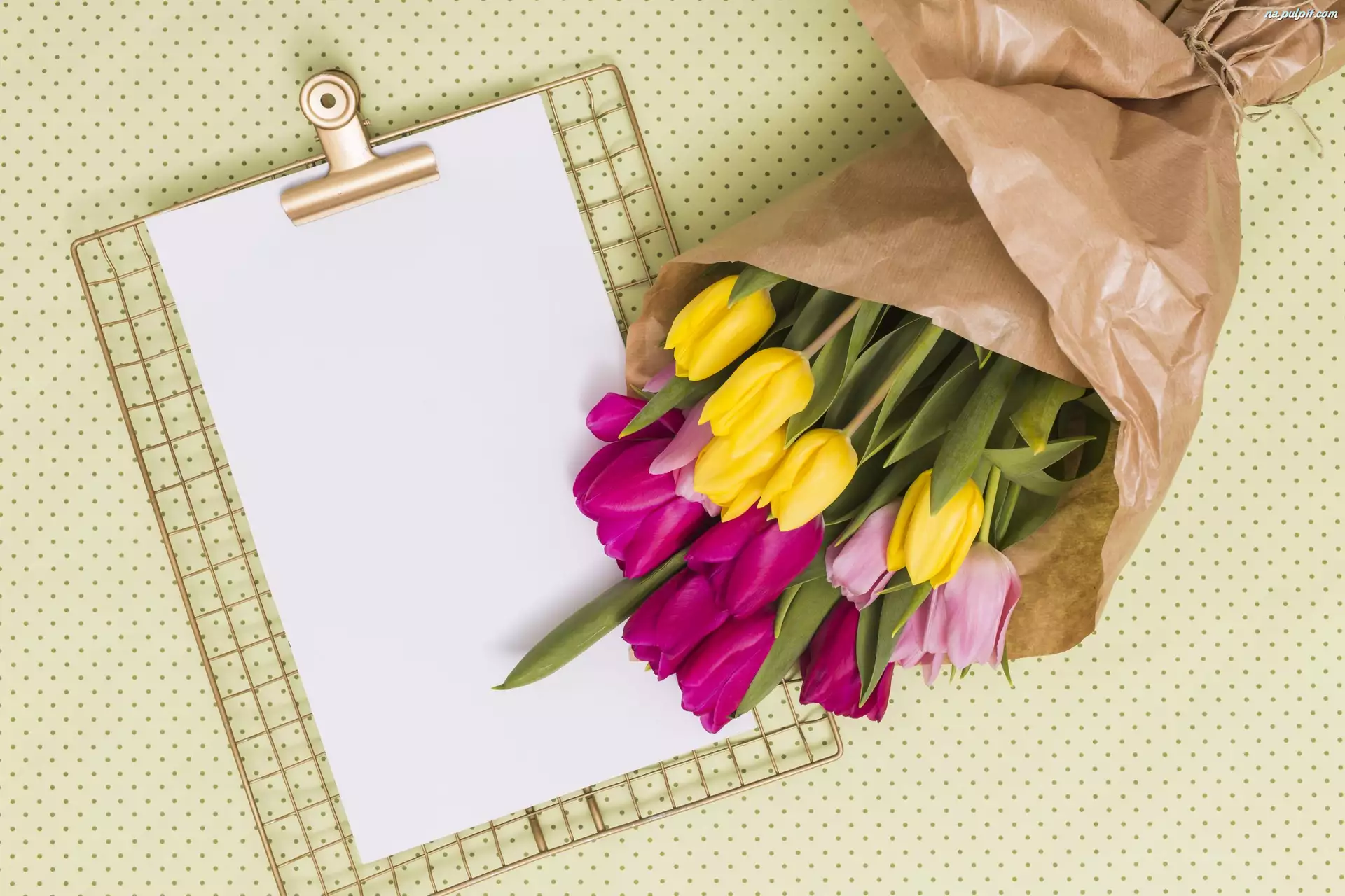 Tulipany, Kartka, Kolorowe, Kwiaty, Papier