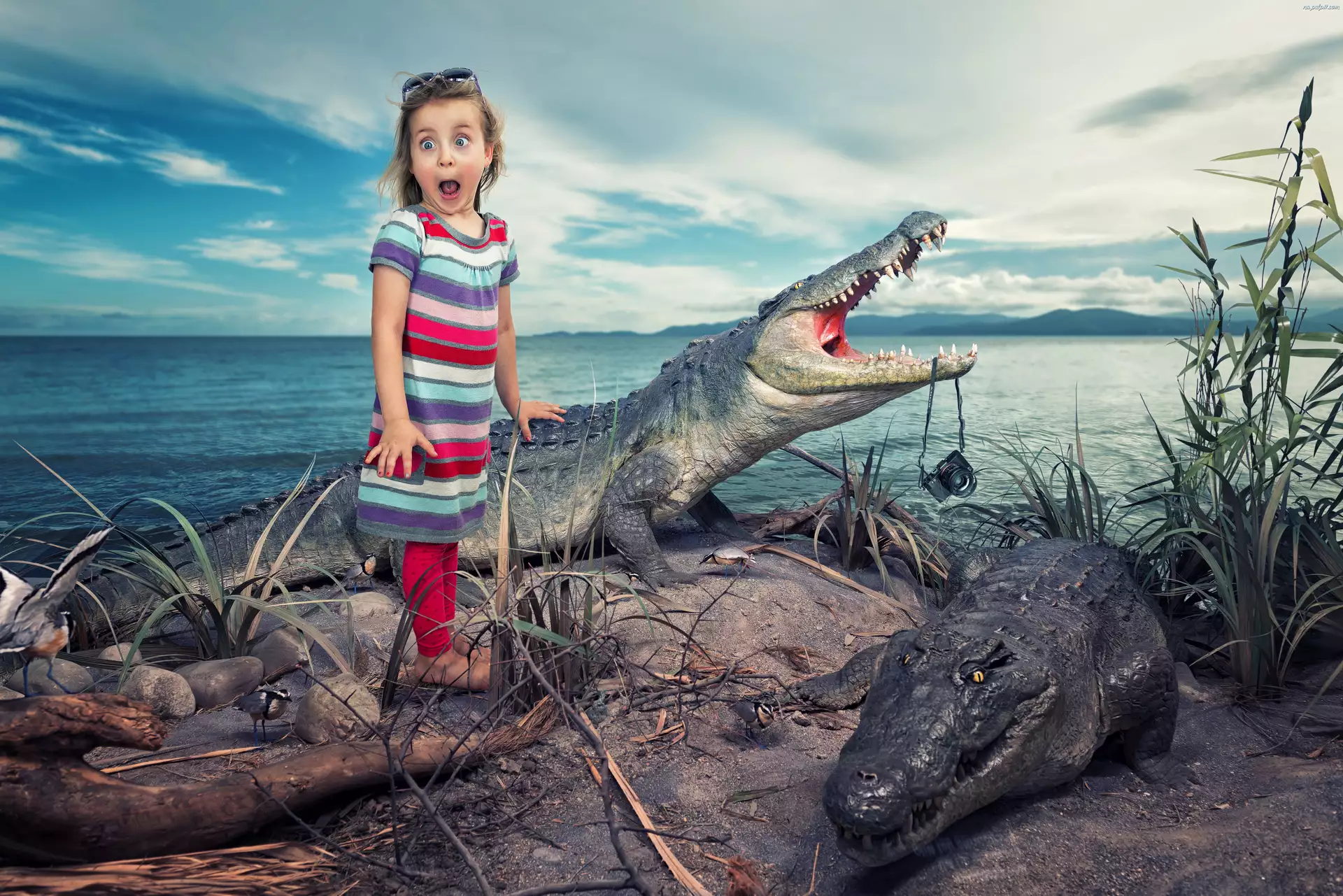 Morze, Dziewczynka, Krokodyle