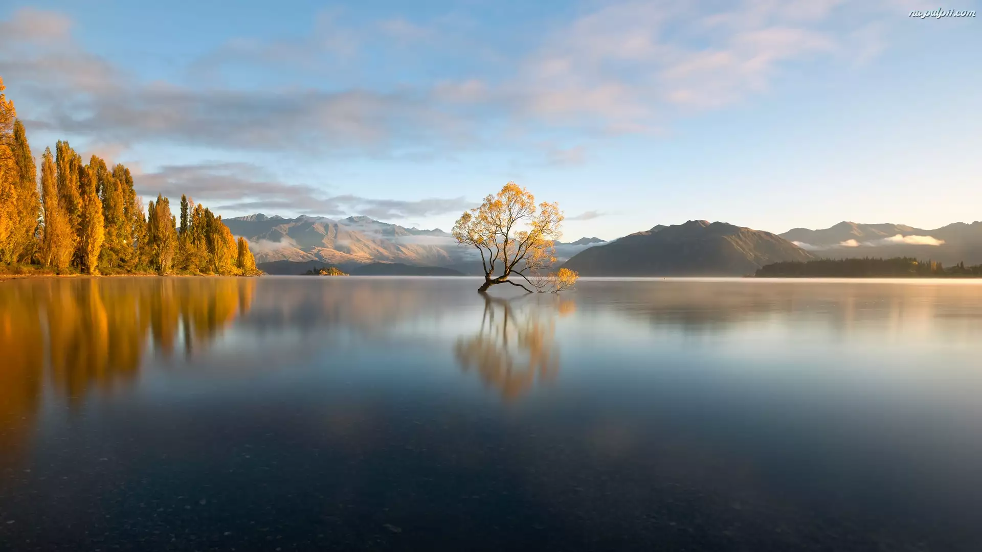 Góry, Nowa Zelandia, Drzewo, Jezioro Wanaka, Jesień