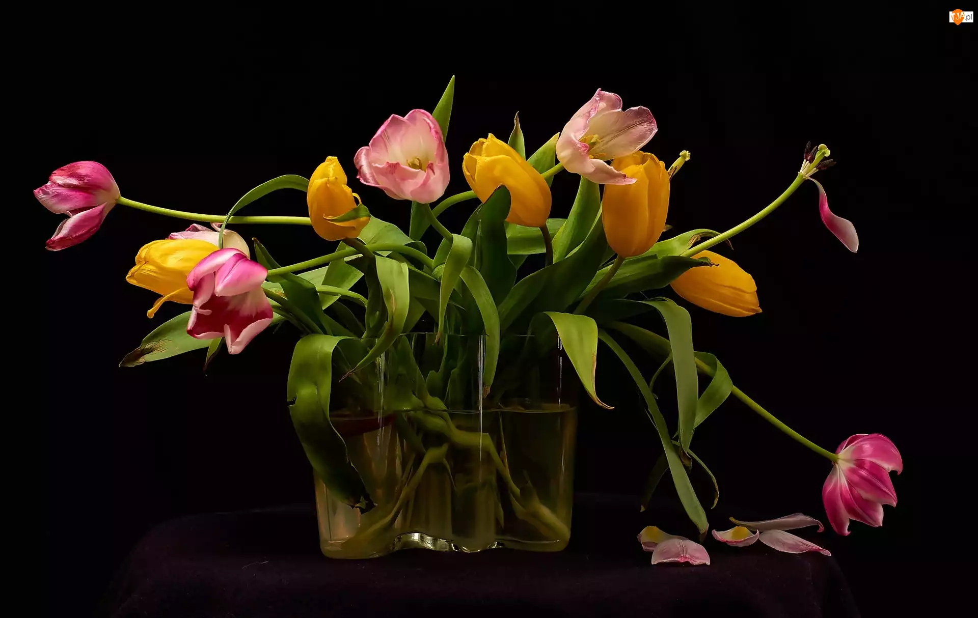 Wazon, Bukiet, Kwiaty, Tulipany