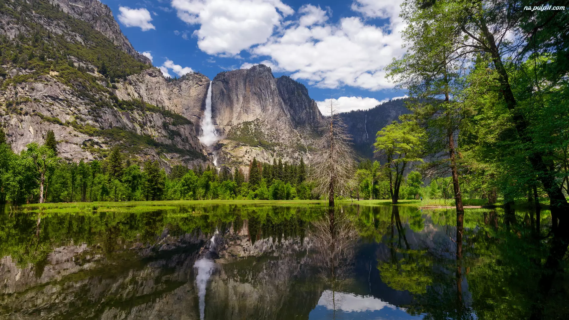Stany Zjednoczone, Góry, Kalifornia, Drzewa, Rzeka, Sierra Nevada, Wodospad Yosemite, Park Narodowy Yosemite, Zielone