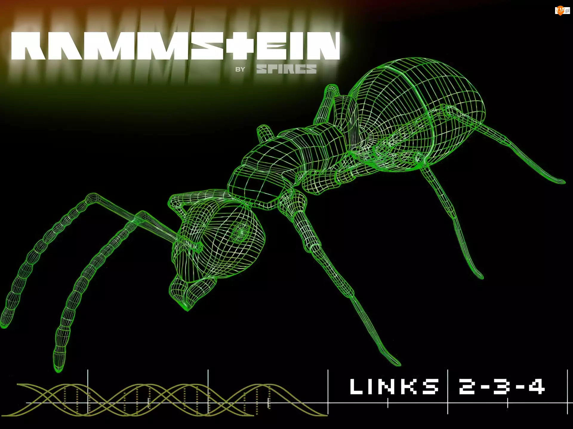 Rammstein, mrówka