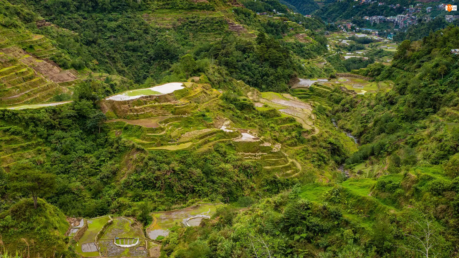 Uprawa, Wzgórza, Prowincja Ifugao, Filipiny, Tarasy ryżowe, Wyspa Luzon