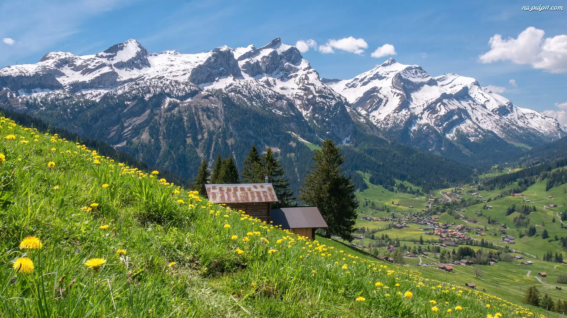 Alpy Berneńskie, Góry, Dolina, Szwajcaria, Łąka, Domy