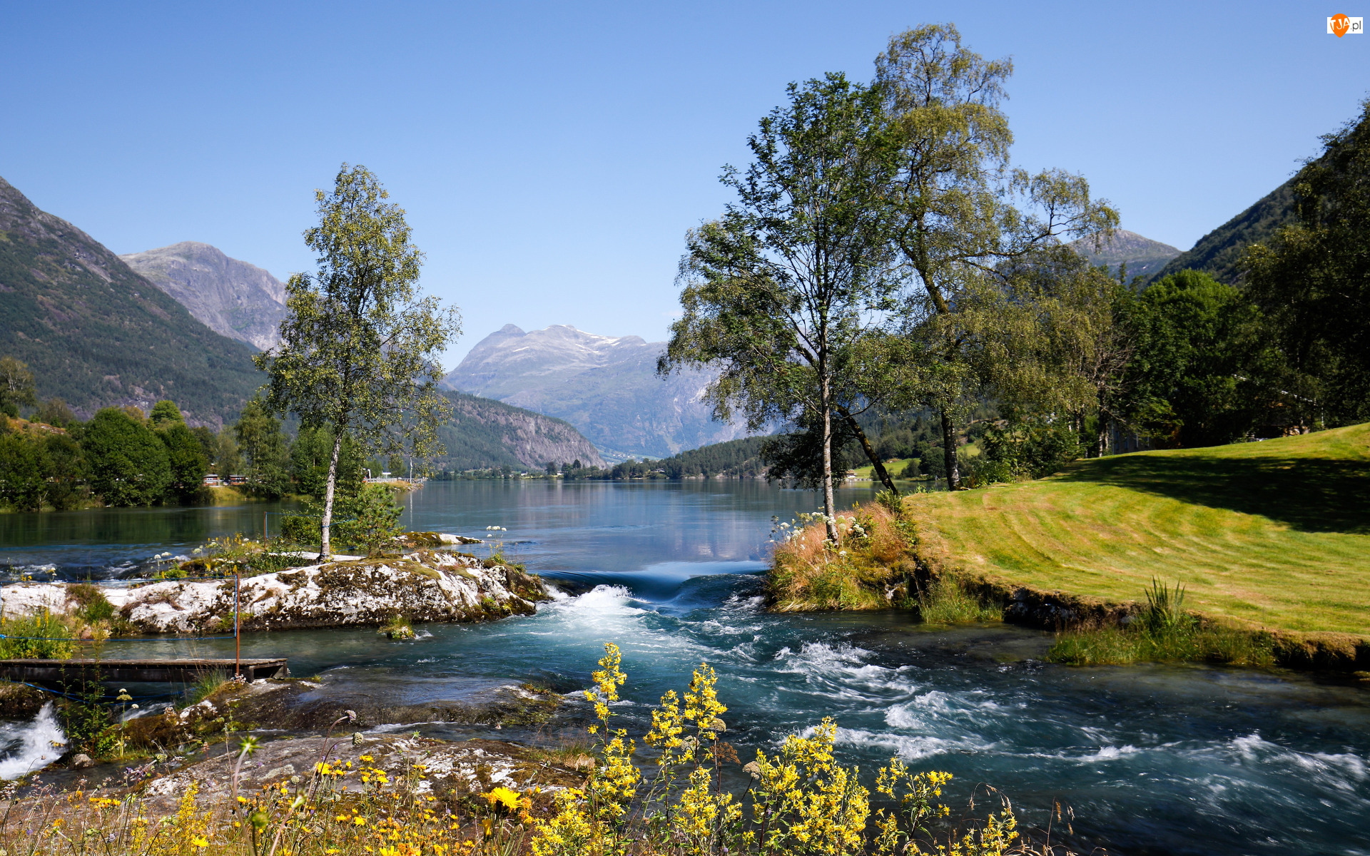 Drzewa, Góry, Rzeka Stryneelva, Norwegia, Kamienie, Gmina Stryn