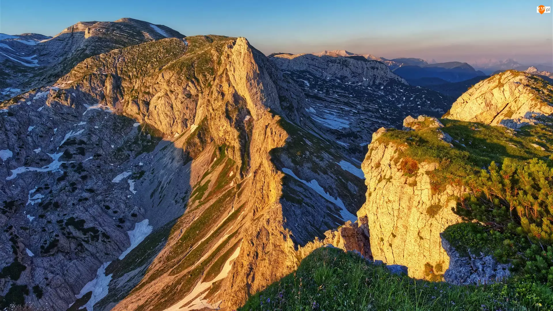 Totes Gebirge, Austria, Alpy Wapienne, Góry, Iglaki