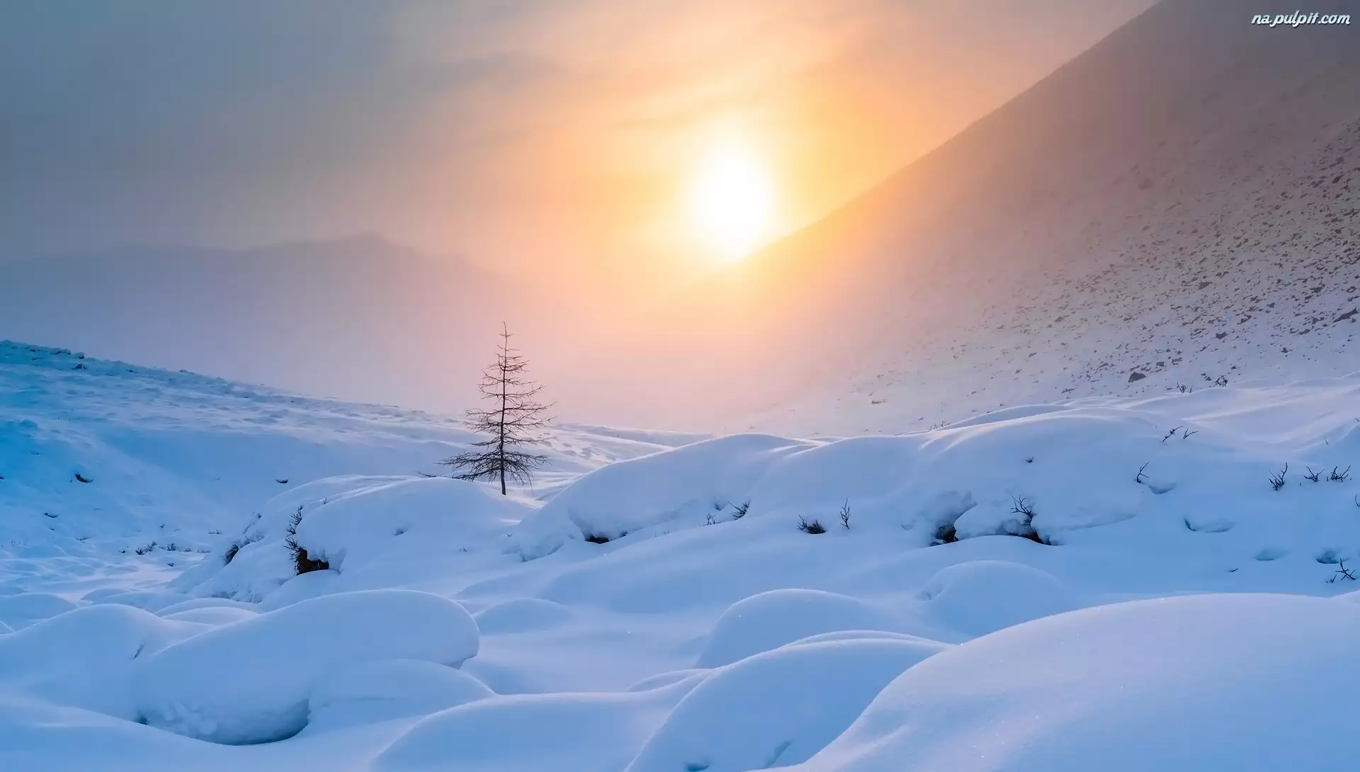 Śnieg, Zima, Mgła, Wschód słońca, Góry, Drzewo