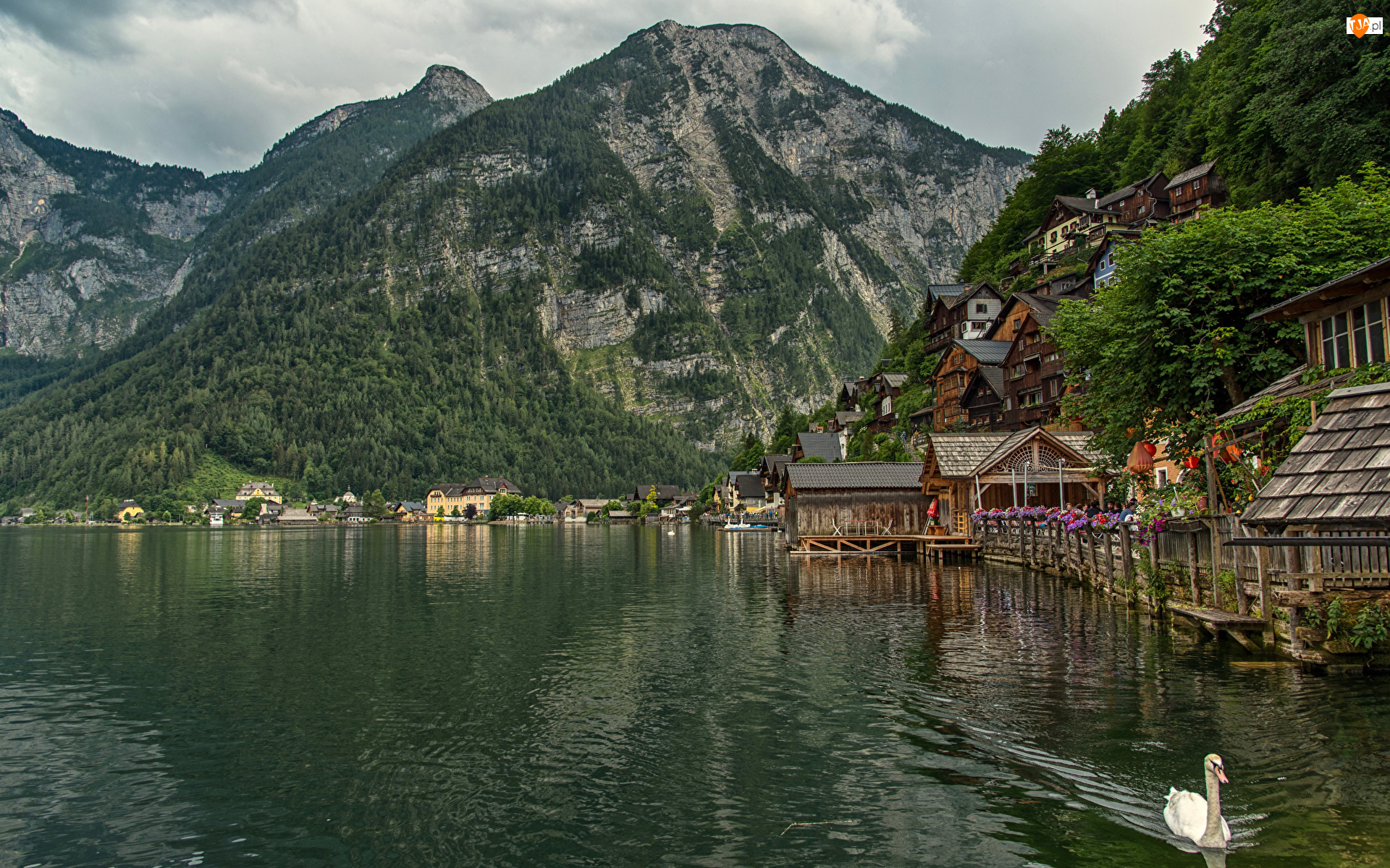Jezioro Hallstattersee, Austria, Góry, Domy, Miasteczko, Alpy Salzburskie, Łabędź, Hallstatt