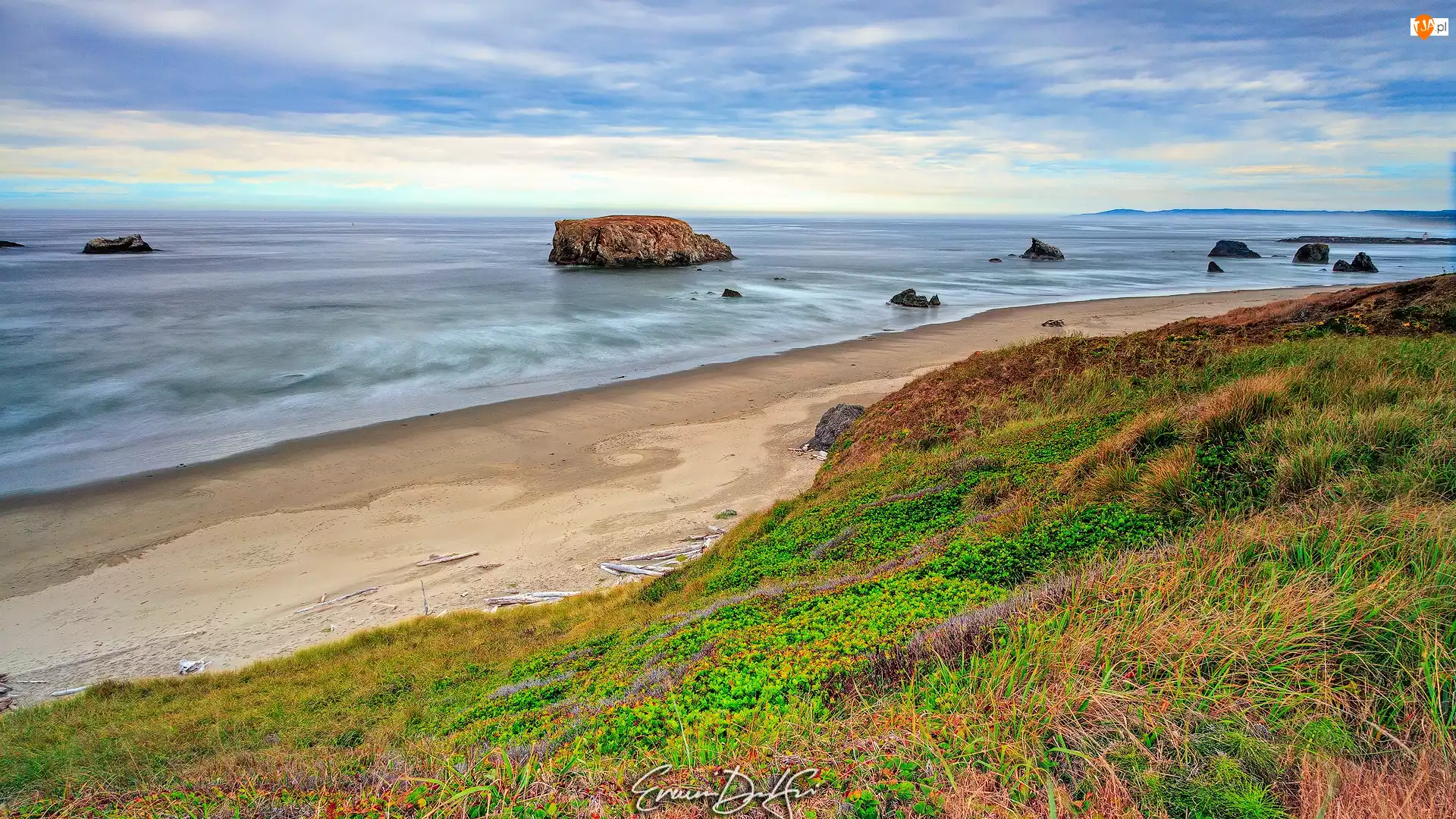 Plaża, Bandon Beach, Stany Zjednoczone, Morze, Stan Oregon, Roślinność, Skała