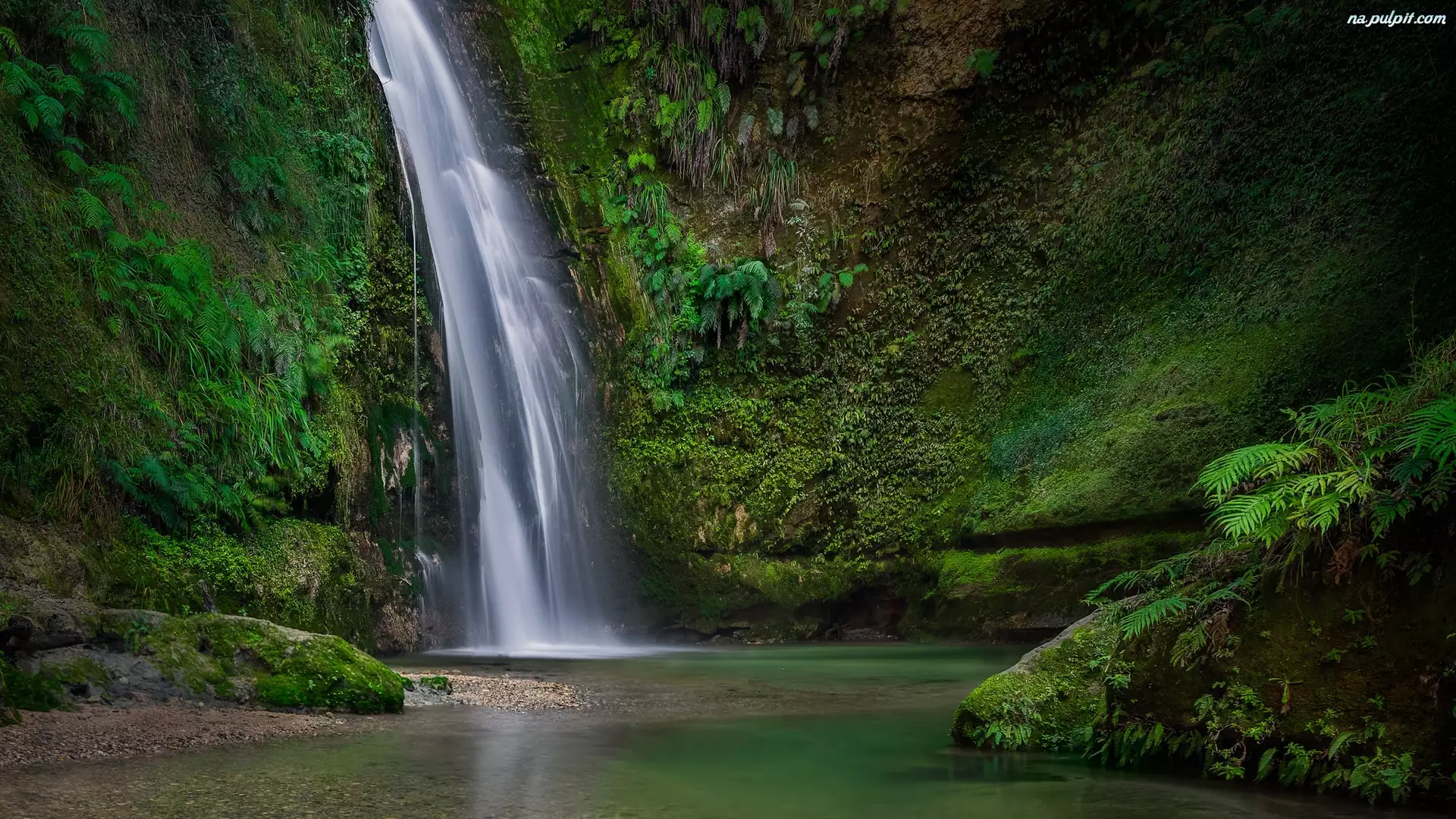 Skały, Nowa Zelandia, Te Ana Falls, Wodospad, Rośliny