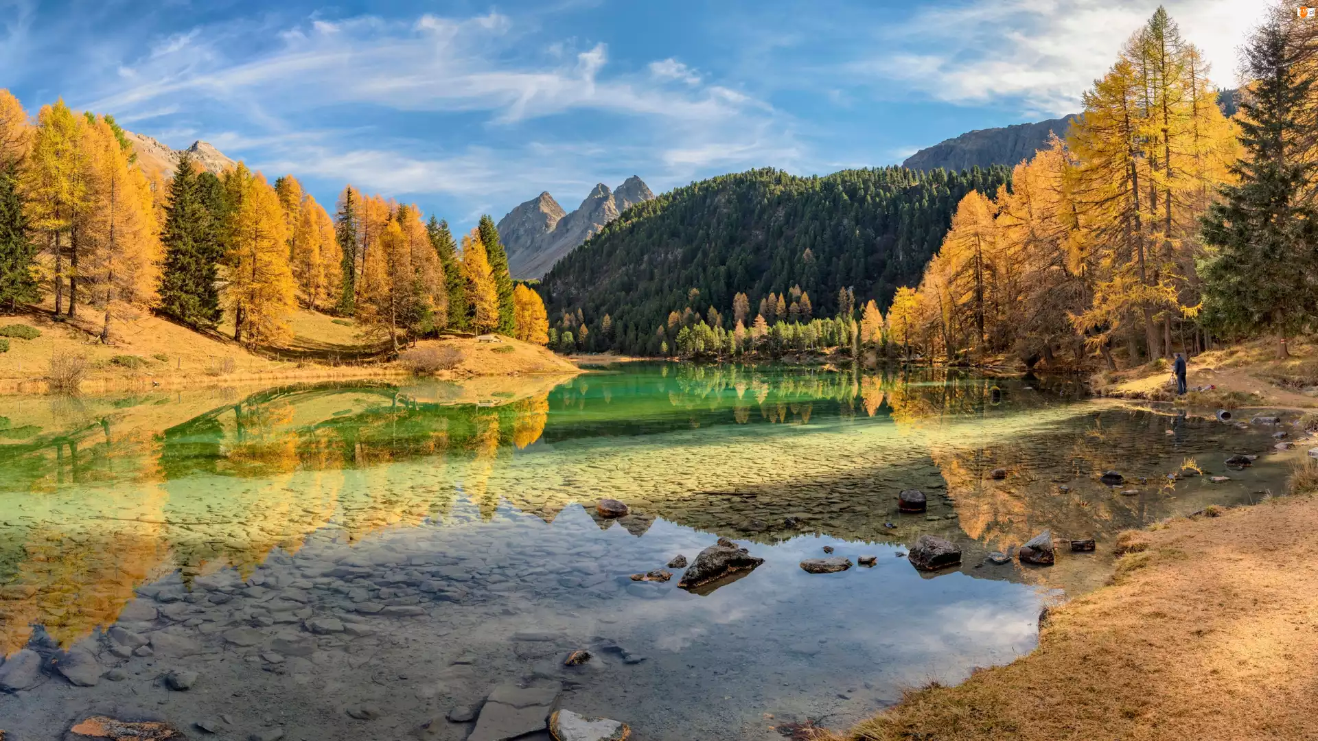 Jesień, Jezioro, Alpy Retyckie, Gryzonia, Lai da Palpuogna, Drzewa, Szwajcaria, Góry