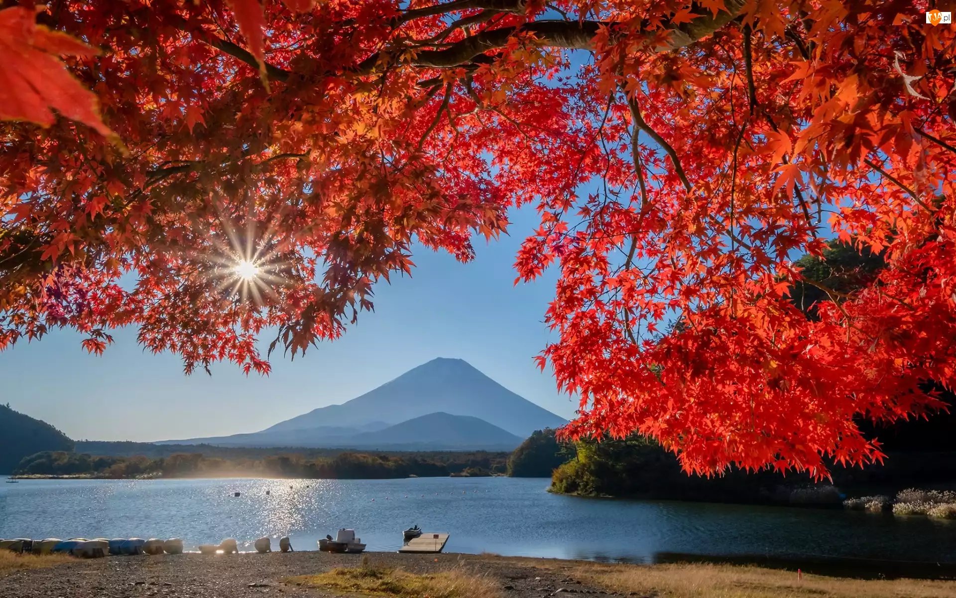 Promienie słońca, Jezioro, Liście, Wyspa Honsiu, Góra Fudżi, Jesień, Japonia, Stratowulkan