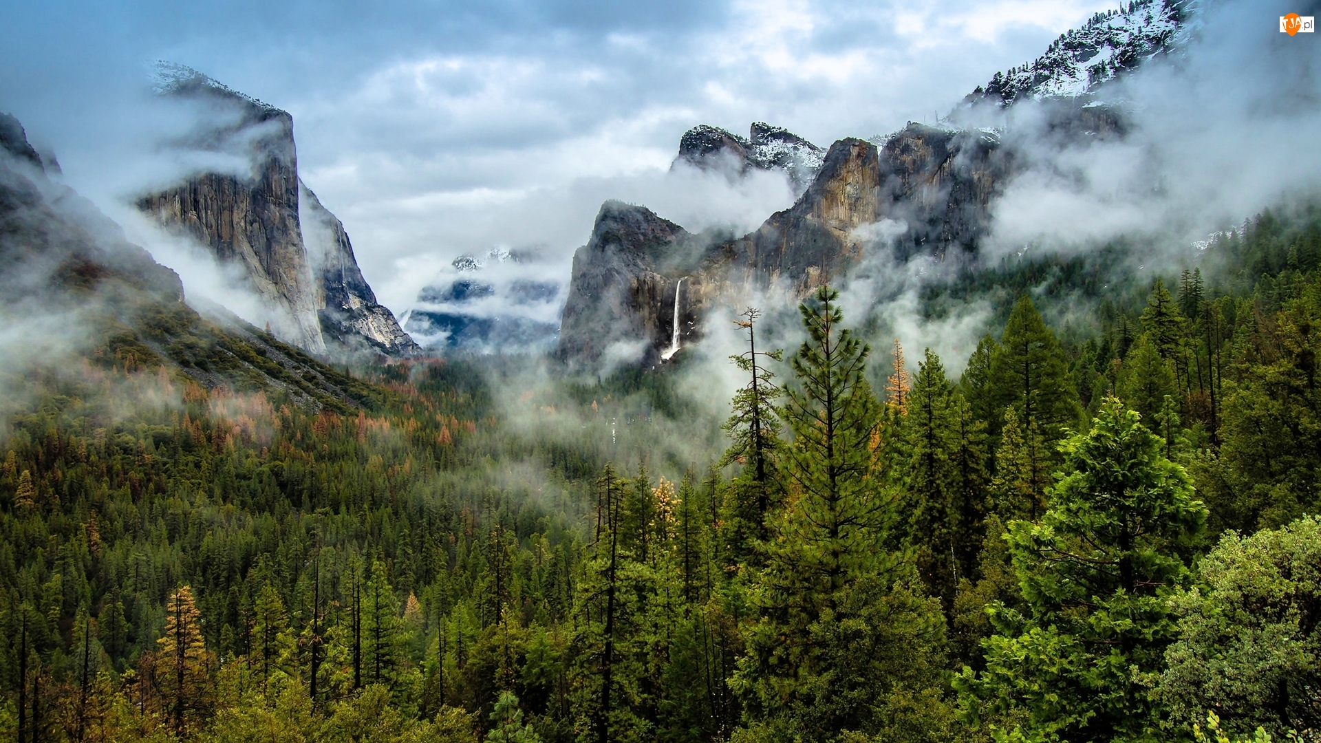 Drzewa, Stany Zjednoczone, Góry, Dolina, Kalifornia, Skały, Mgła, Park Narodowy Yosemite