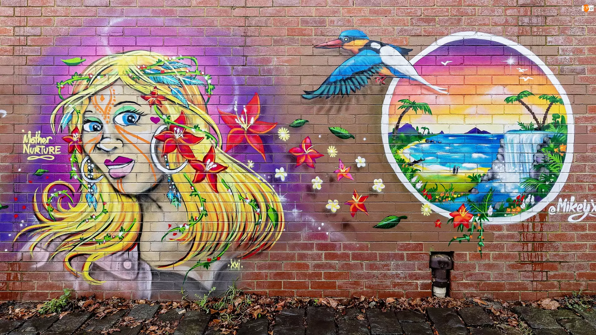 Street art, Ściana, Kobieta, Ptak