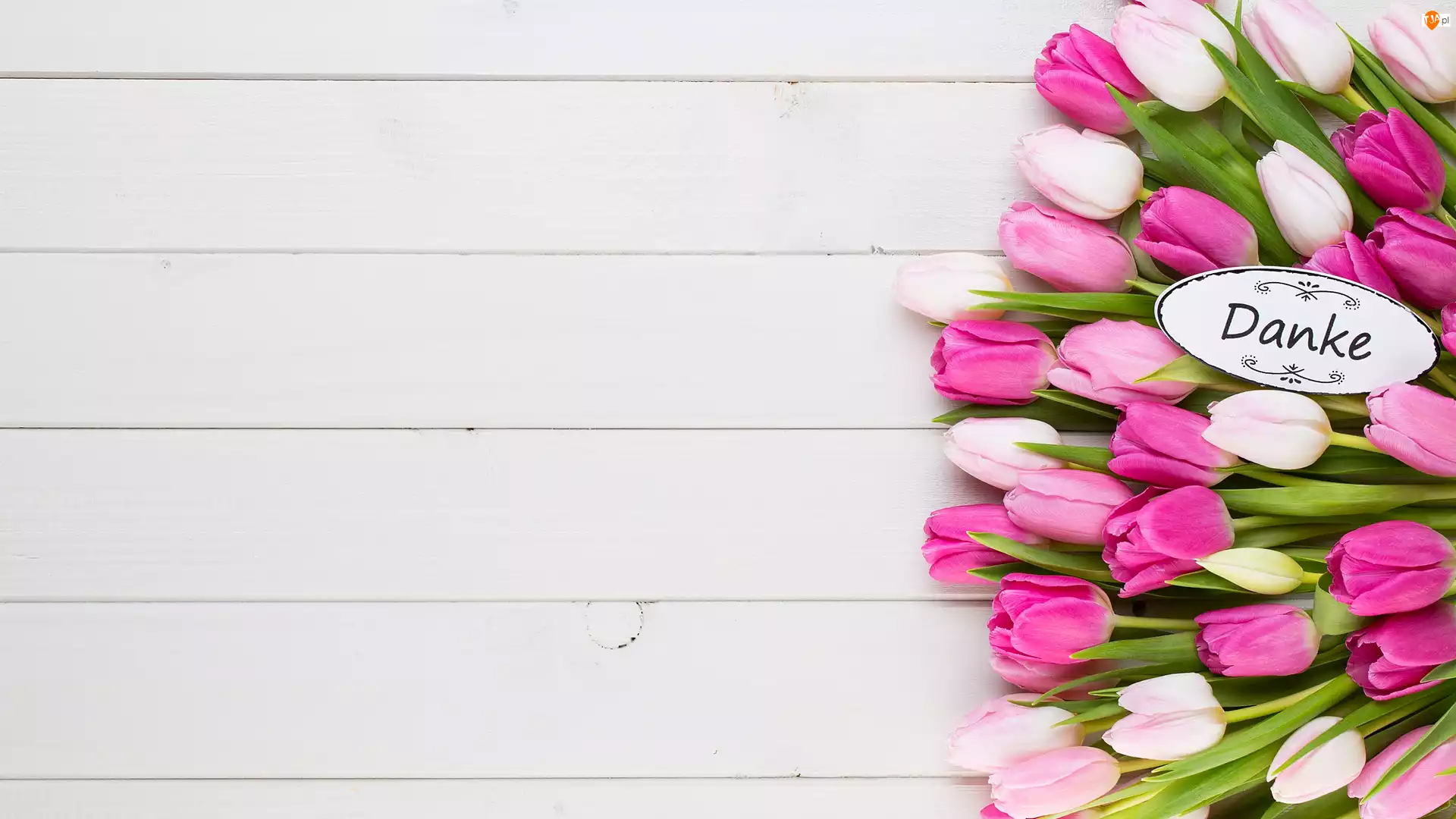 Tulipany, Kolorowe, Tabliczka, Danken Podziękowanie, Bukiet, Napis