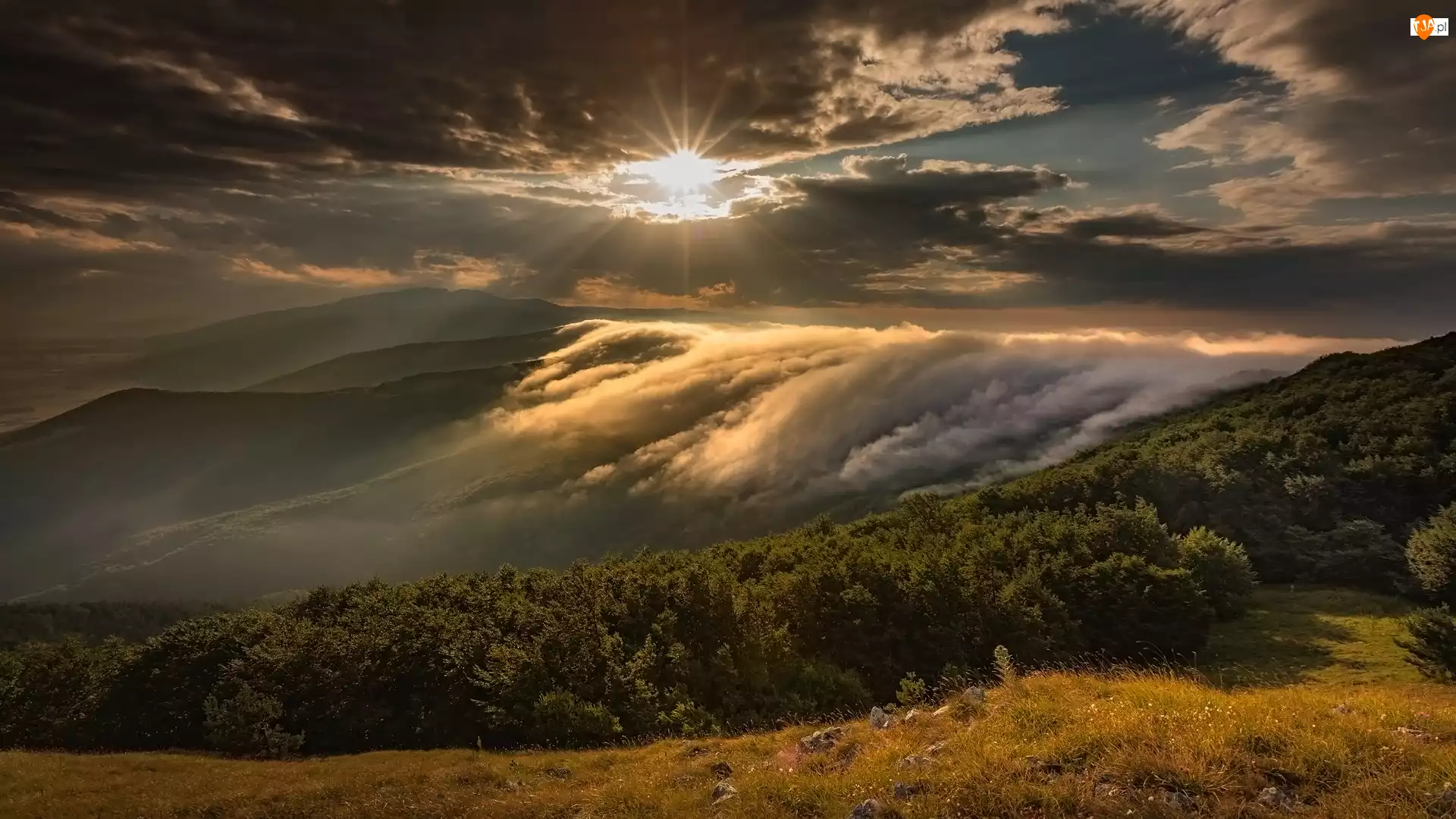 Promienie słońca, Góry, Mgła, Gabrowo, Stara Płanina, Chmury, Bułgaria, Drzewa
