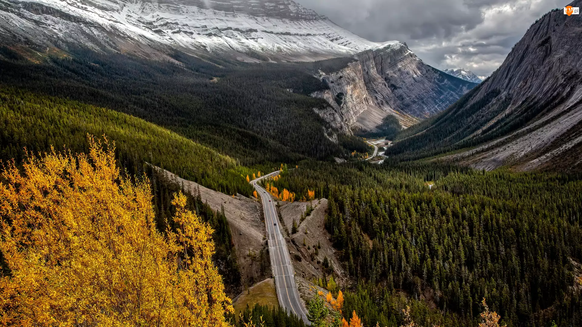 Icefields Parkway, Góry Skaliste, Kanada, Droga, Alberta, Drzewa, Lasy