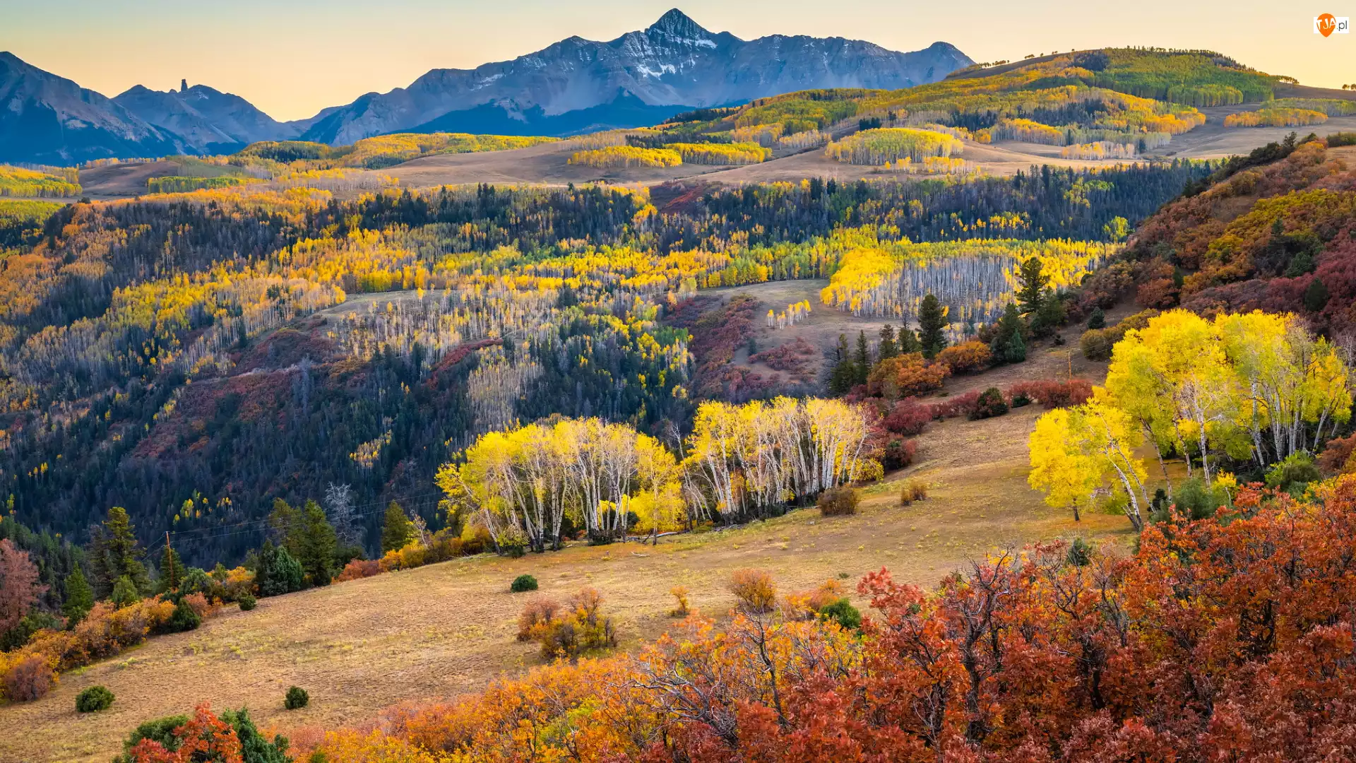 Drzewa, Jesień, Lasy, Kolorado, Góry, Kolorowe, Stany Zjednoczone, San Juan Mountains