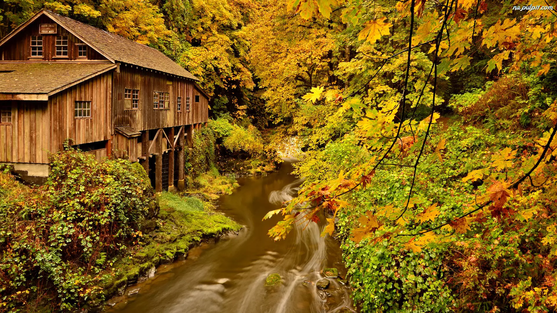 Młyn Cedar Creek Grist Mill nad rzeką Lewis River