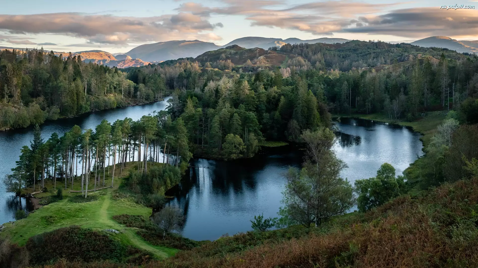 Lasy, Anglia, Wzgórza, Park Narodowy Lake District, Jezioro