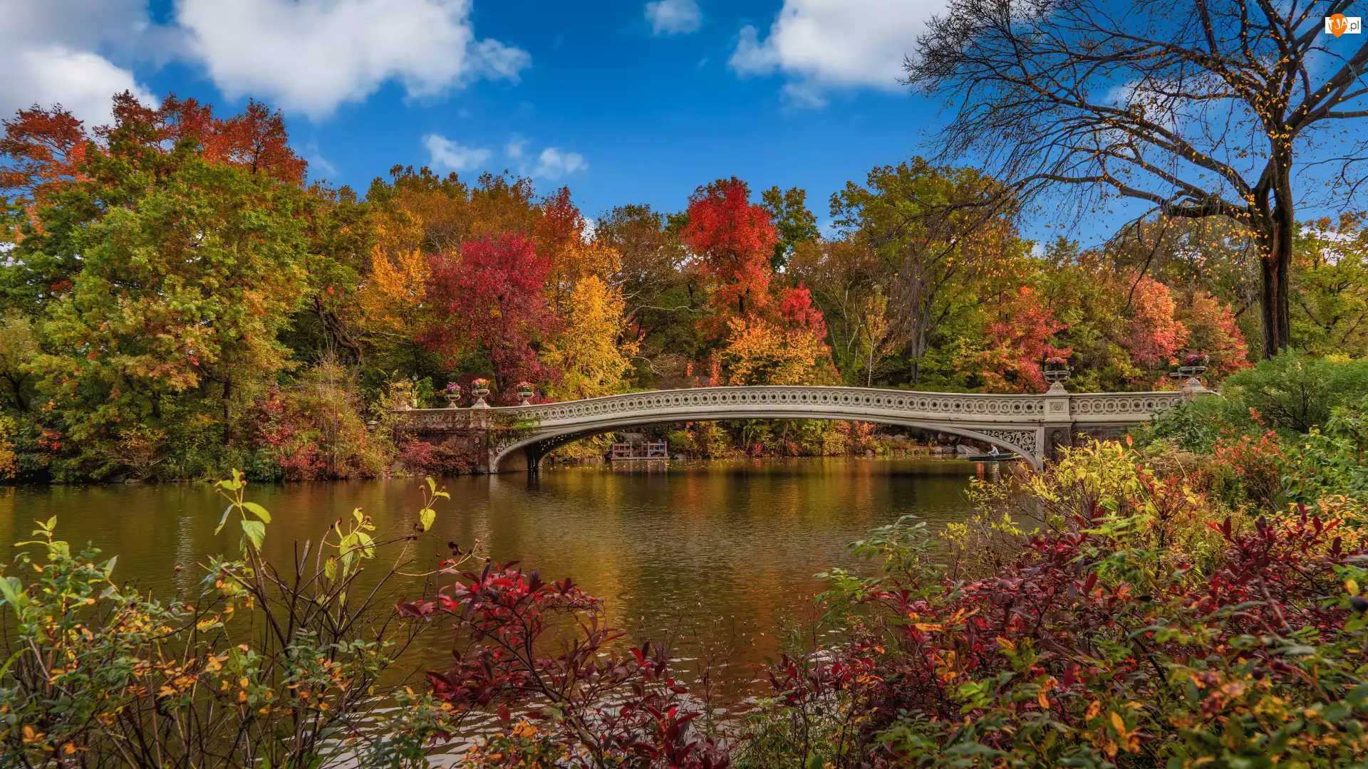 Jezioro, Jesień, Central Park, Most, Nowy Jork, Drzewa, Stany Zjednoczone, Manhattan